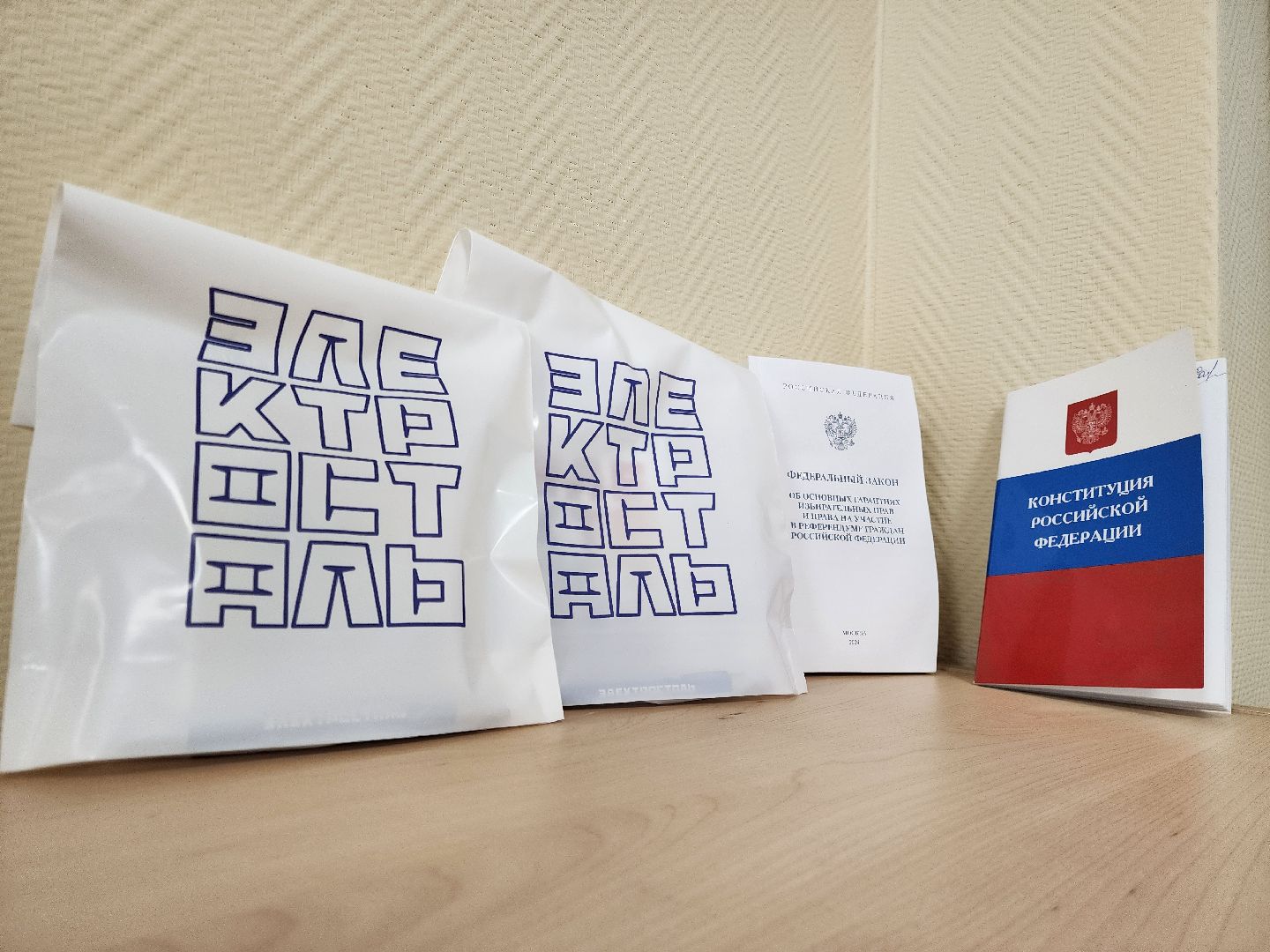 электросталь, жители, выборы, голосование, совет депутатов,