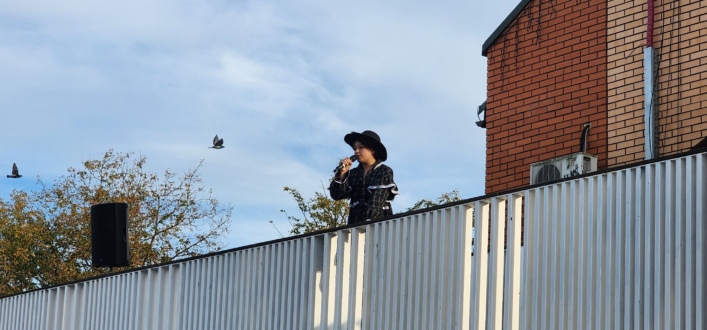 Истра, Музыка, Культура, Выступление,