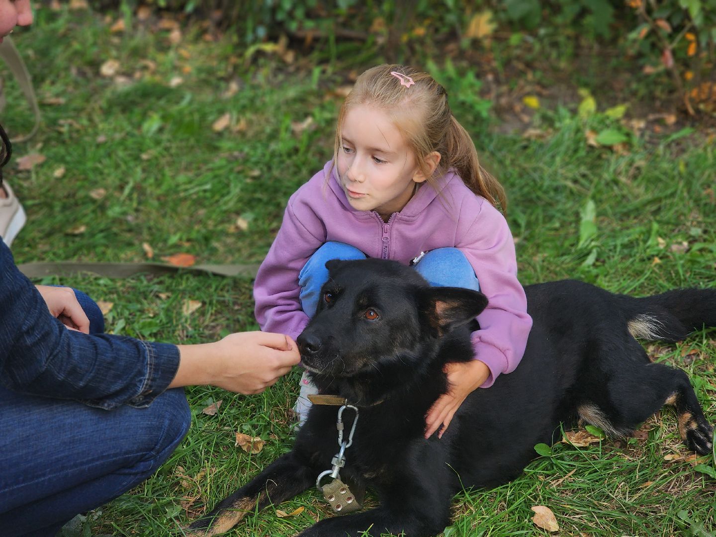 королев, день города королев, зоо дом,