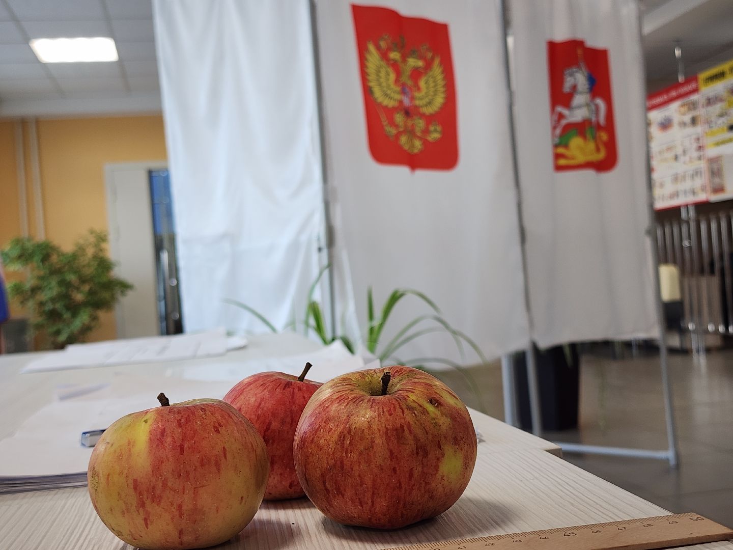 Шатура, Выборы, Шатура выбирает, Подмосковье, Московская область,