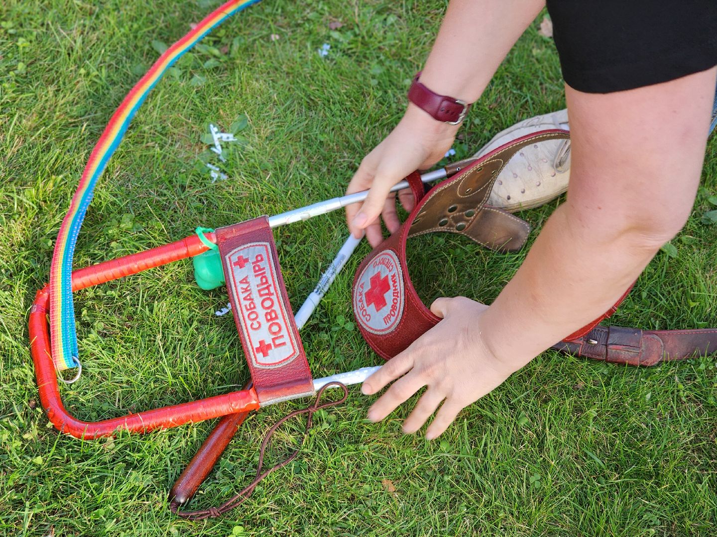 мураново, музей-усадьба мураново, мудрый пес, светлана телицына, собака-поводырь, аксаковская уха, гастрономический фестиваль,пушкинский городской округ,