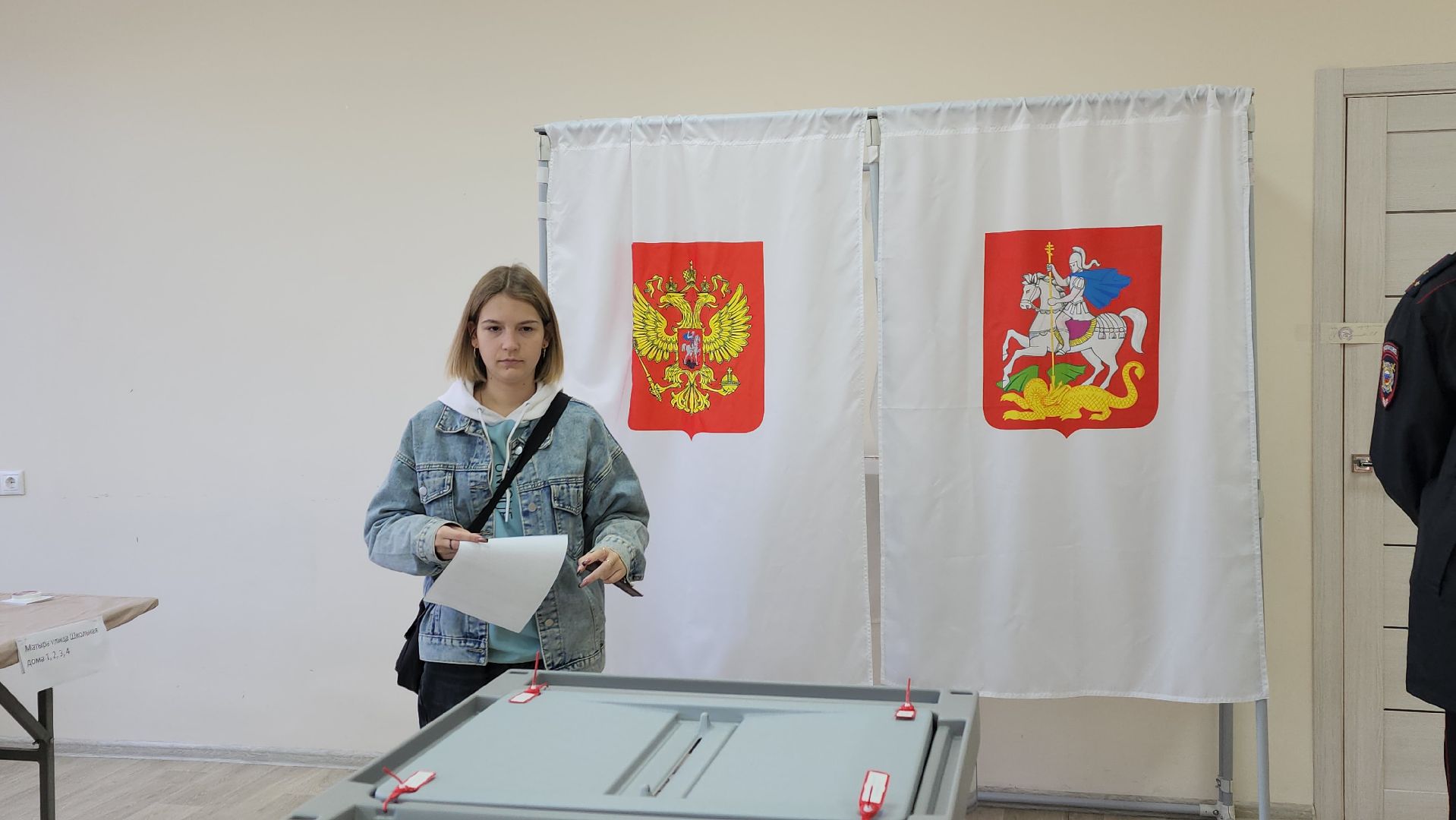 луховицы, выборы, выборы в совет депутатов, довыборы, матыра,