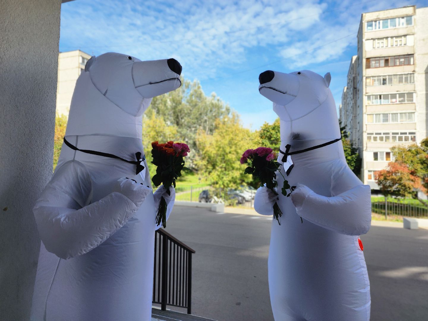 фрязино, выборы 2025, избирательные участки,