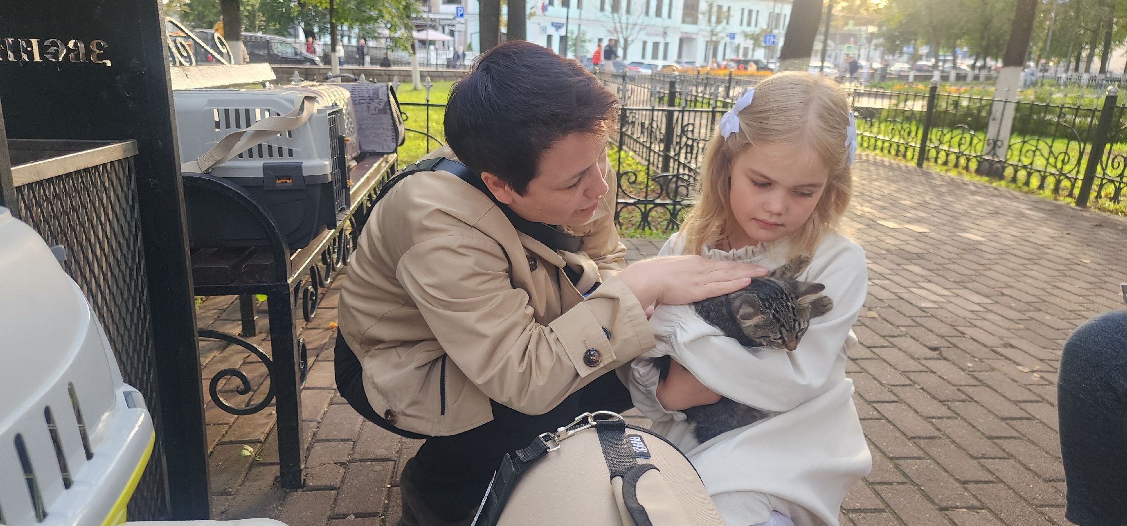 Общество , Зооволонтеры , Выставка кошек и собак, Животные ,