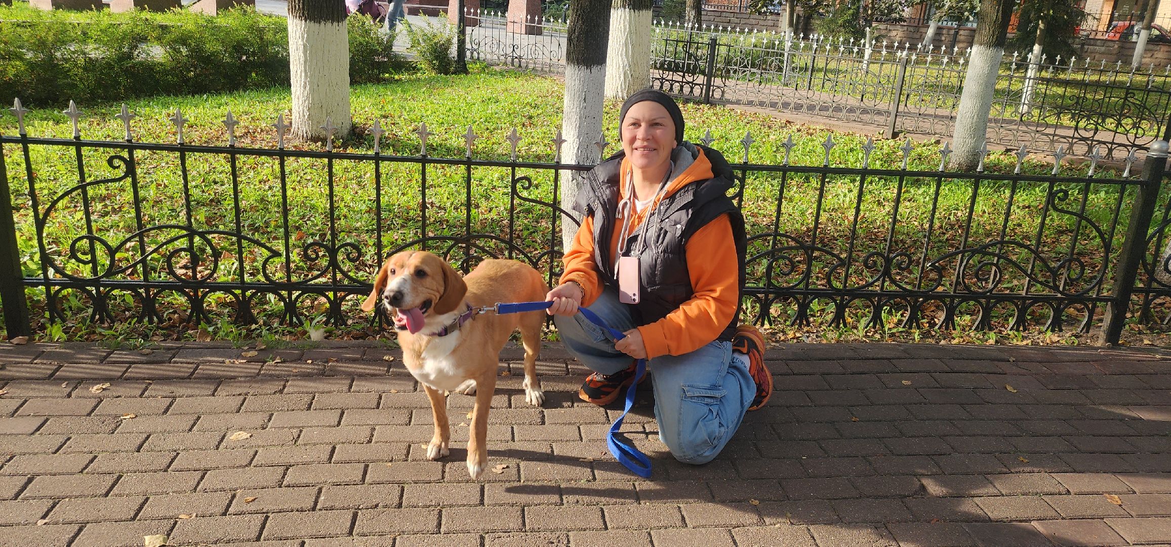 Общество , Зооволонтеры , Выставка кошек и собак, Животные ,