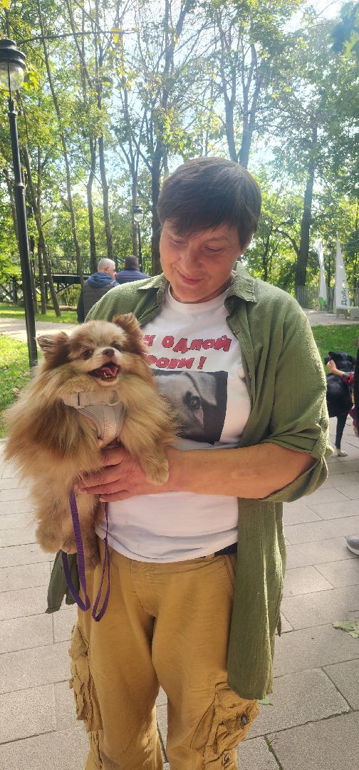 Общество , Зооволонтеры , Выставка кошек и собак, Животные ,