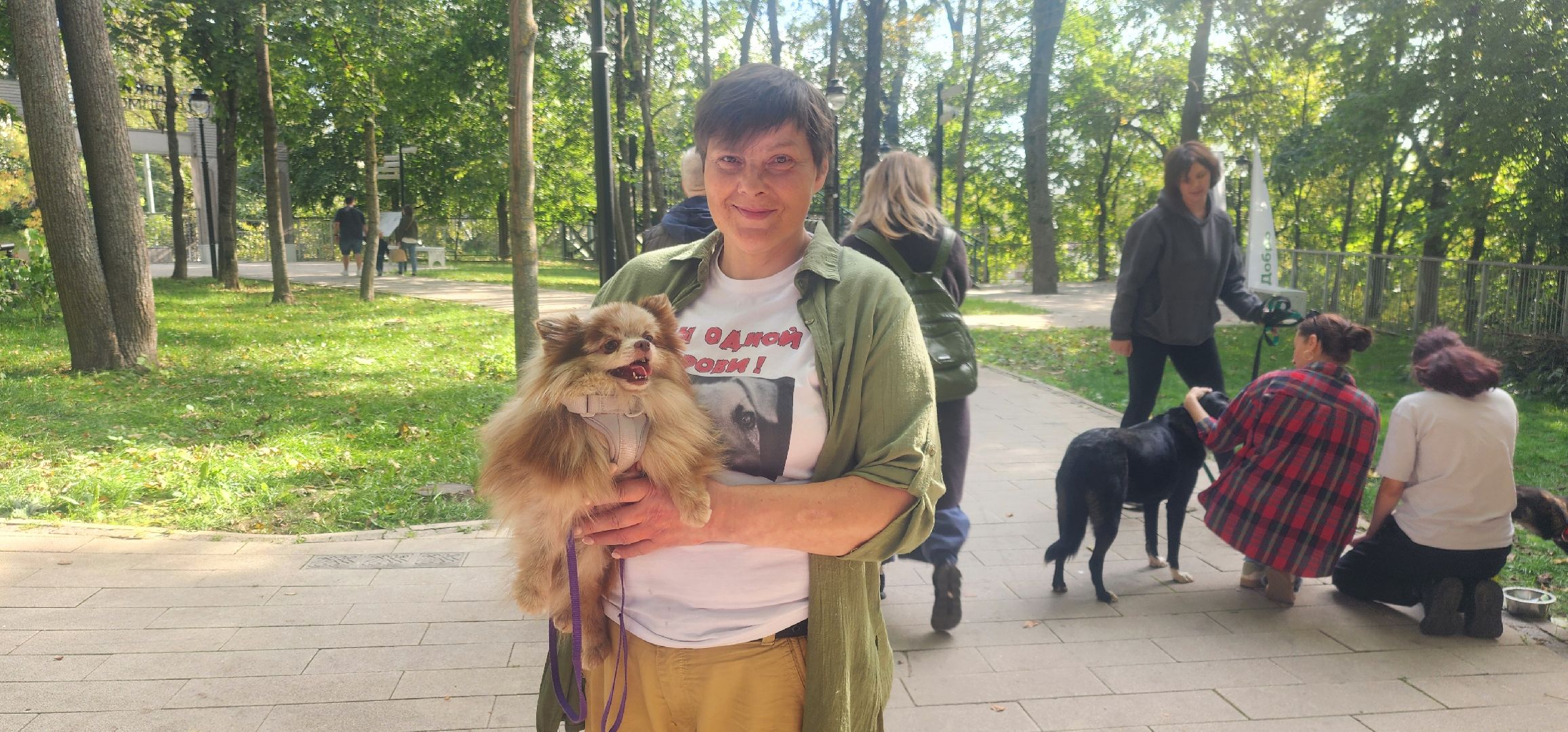 Общество , Зооволонтеры , Выставка кошек и собак, Животные ,