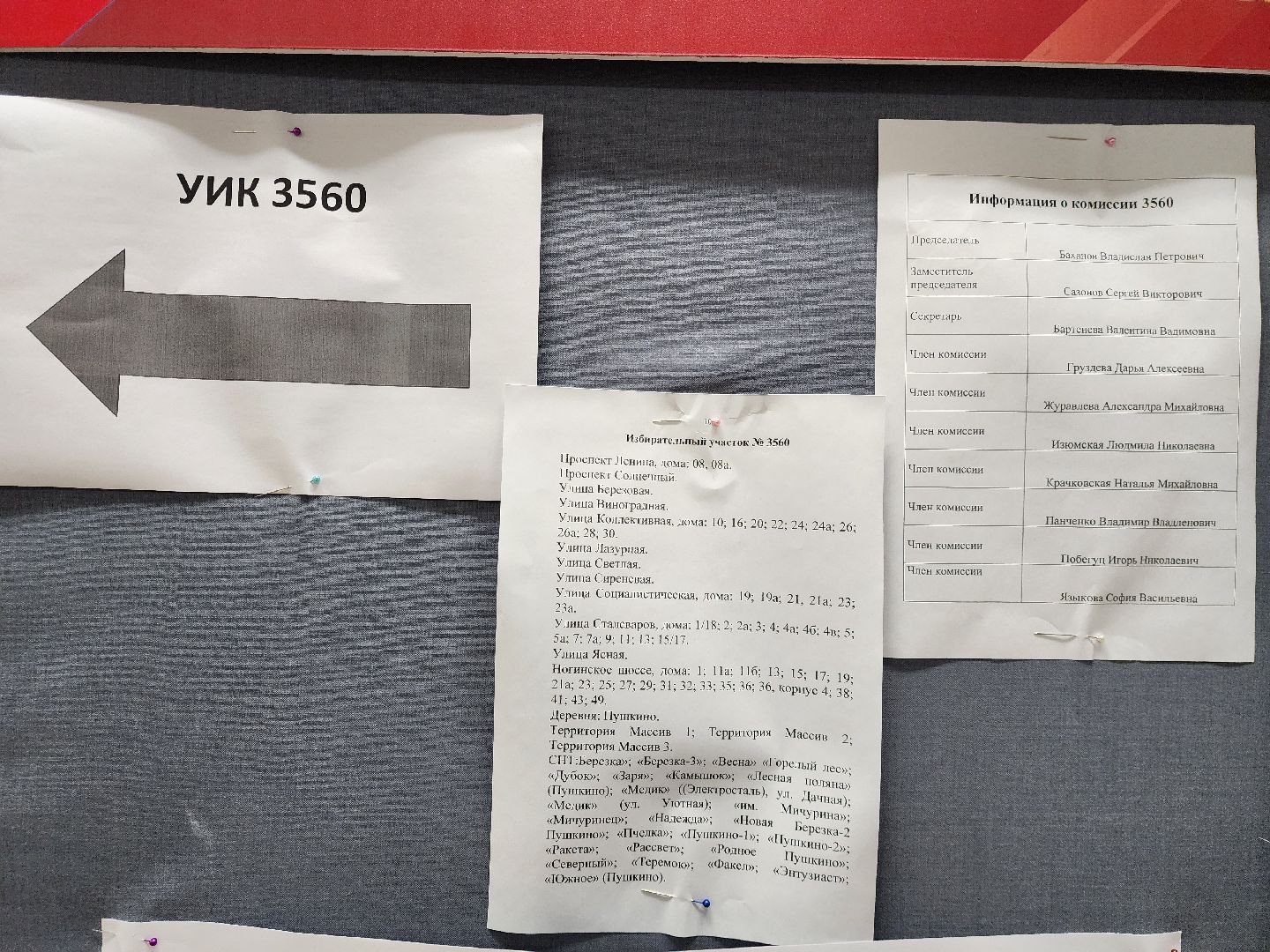 электросталь, жители, выборы, общество, совет депутатов, голосование,