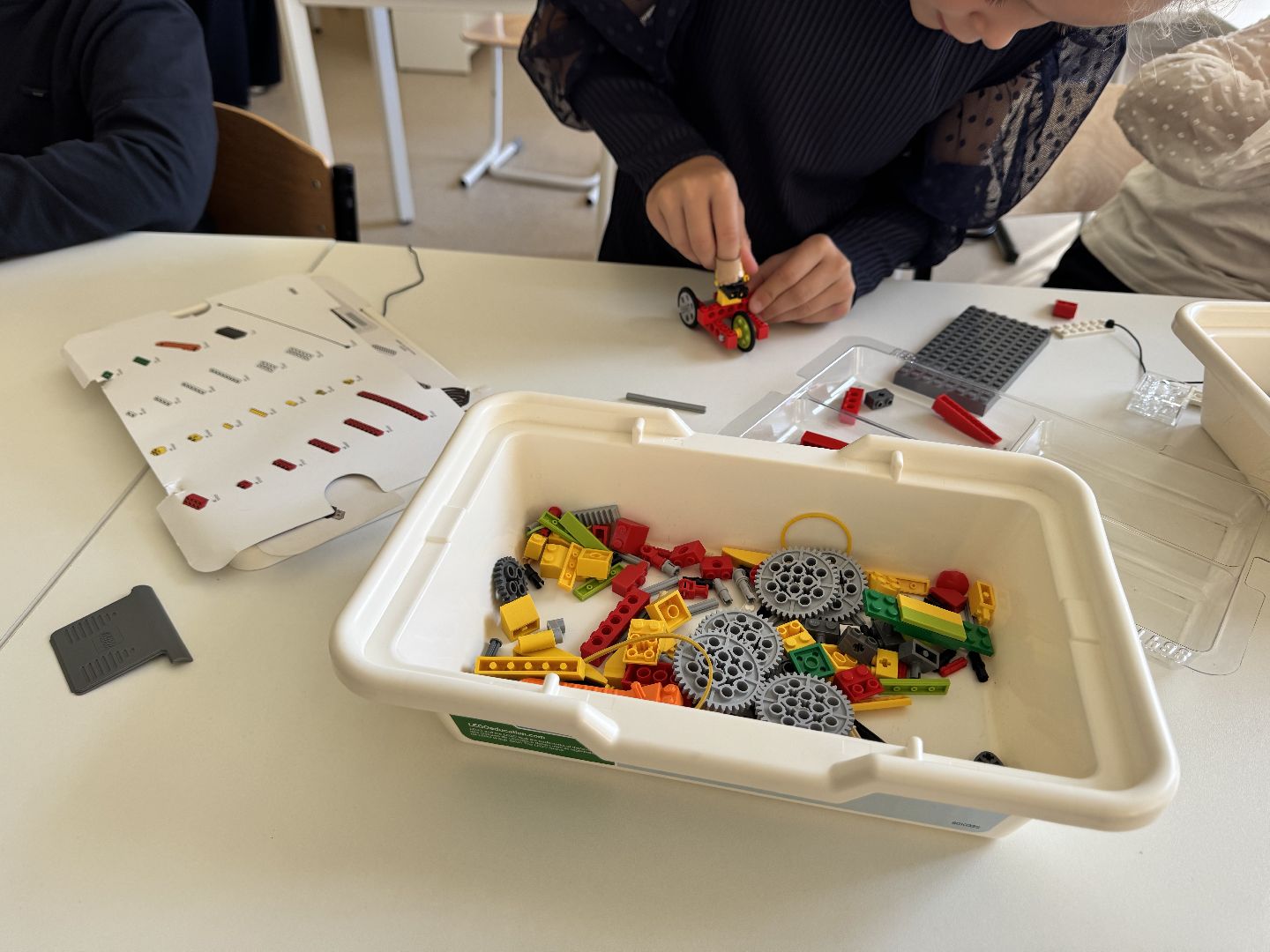 шаховская, точка роста, образование,