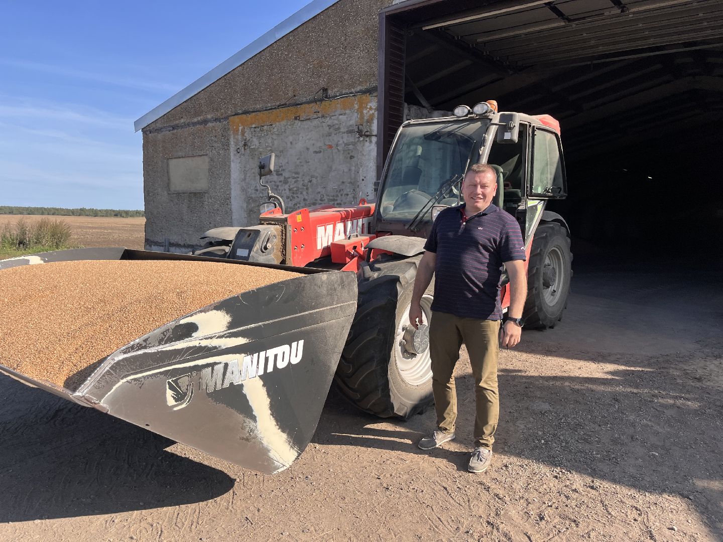 шатура, Урожай 2025, Урожай пшеницы,