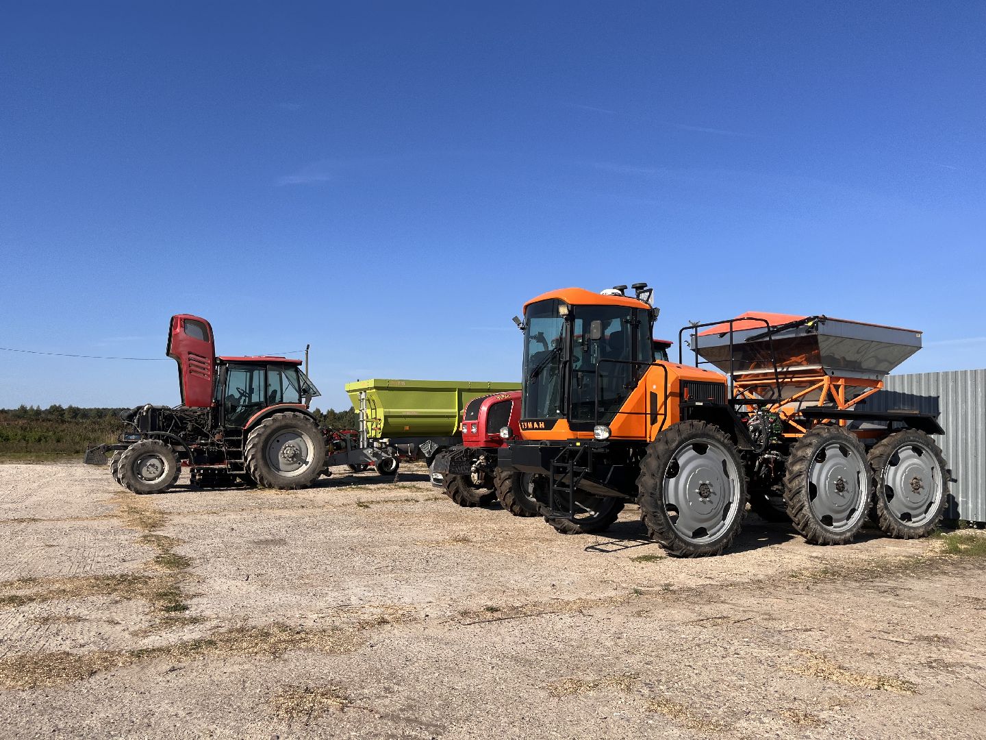 шатура, Урожай 2025, Урожай пшеницы,