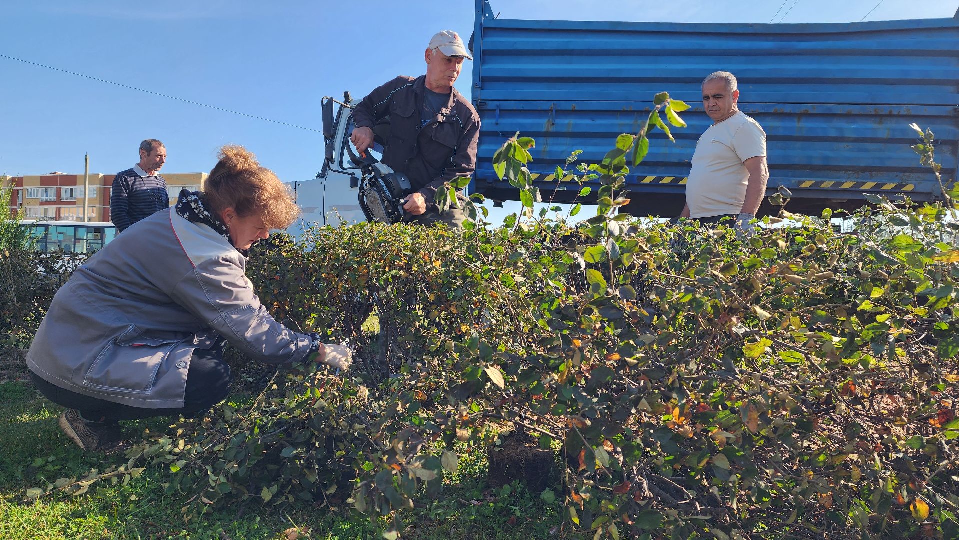 истра, благоустройство, клумба,