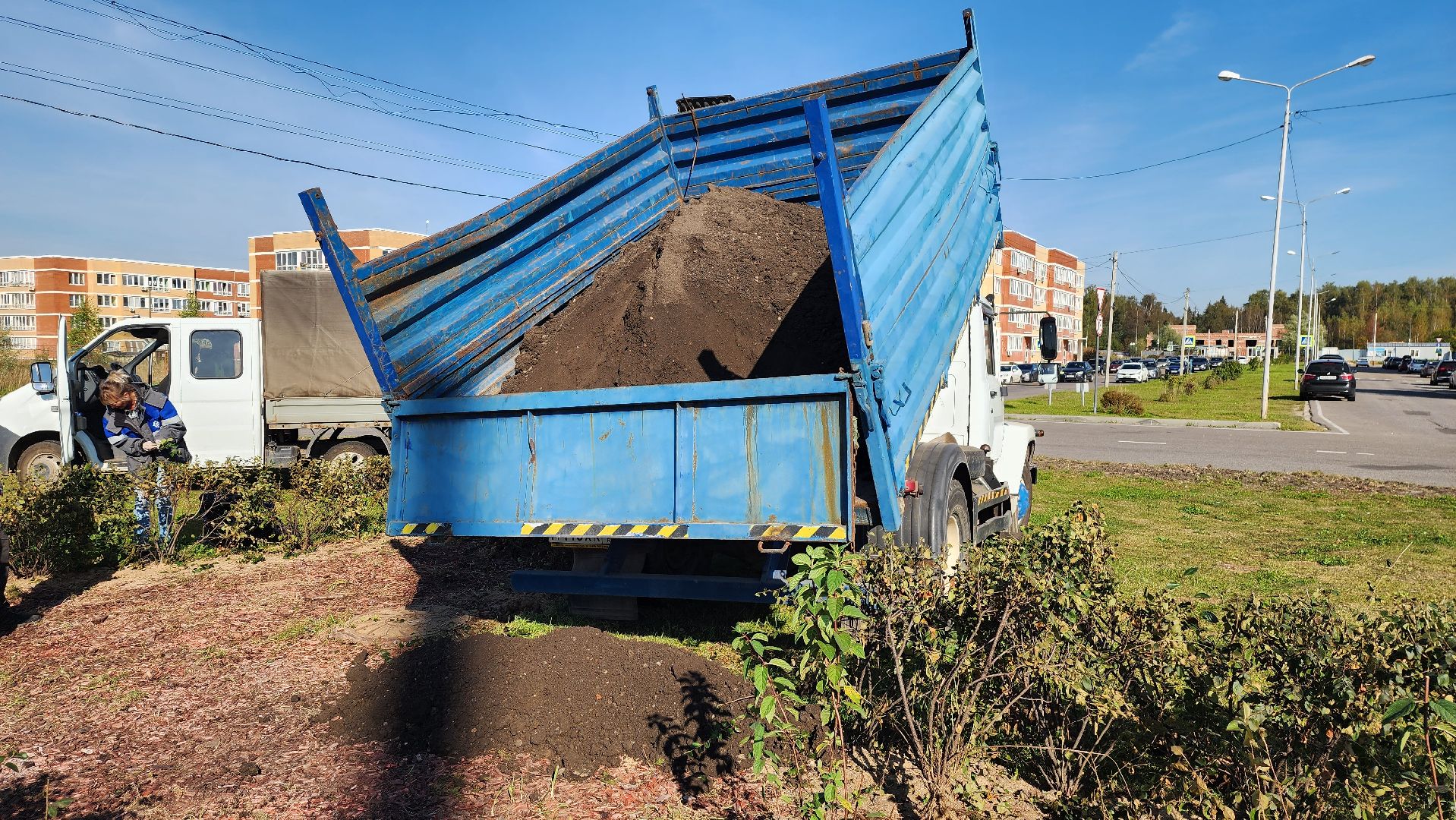 истра, благоустройство, клумба,