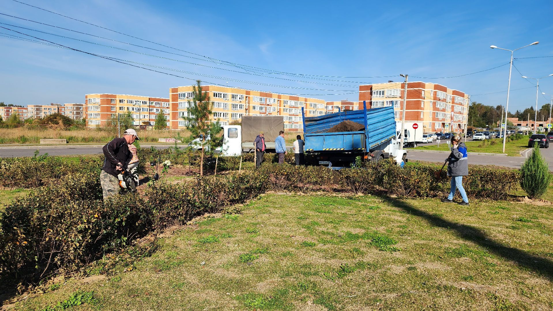 истра, благоустройство, клумба,