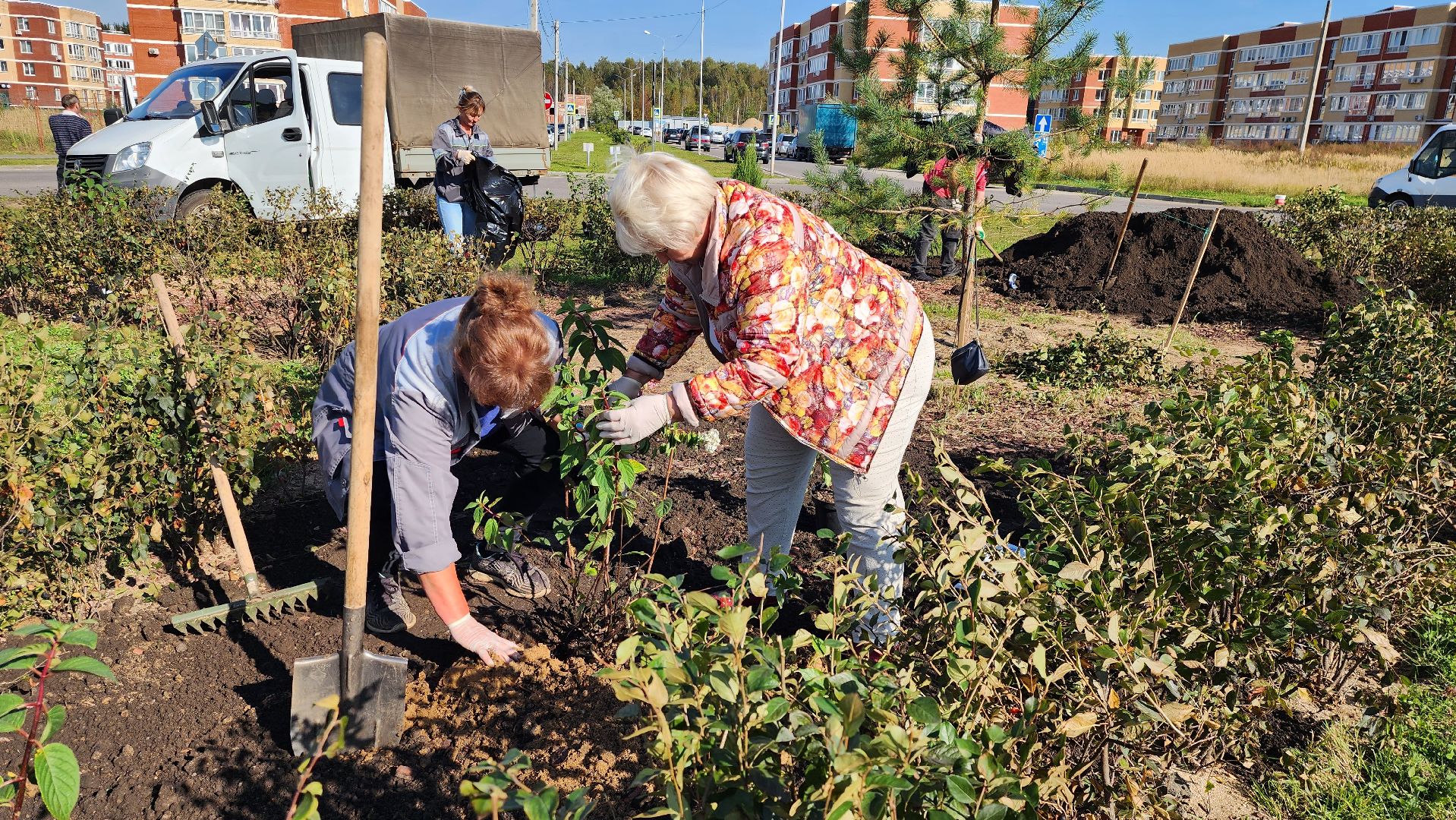 истра, благоустройство, клумба,