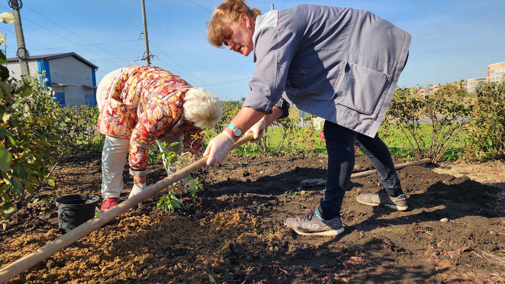 истра, благоустройство, клумба,