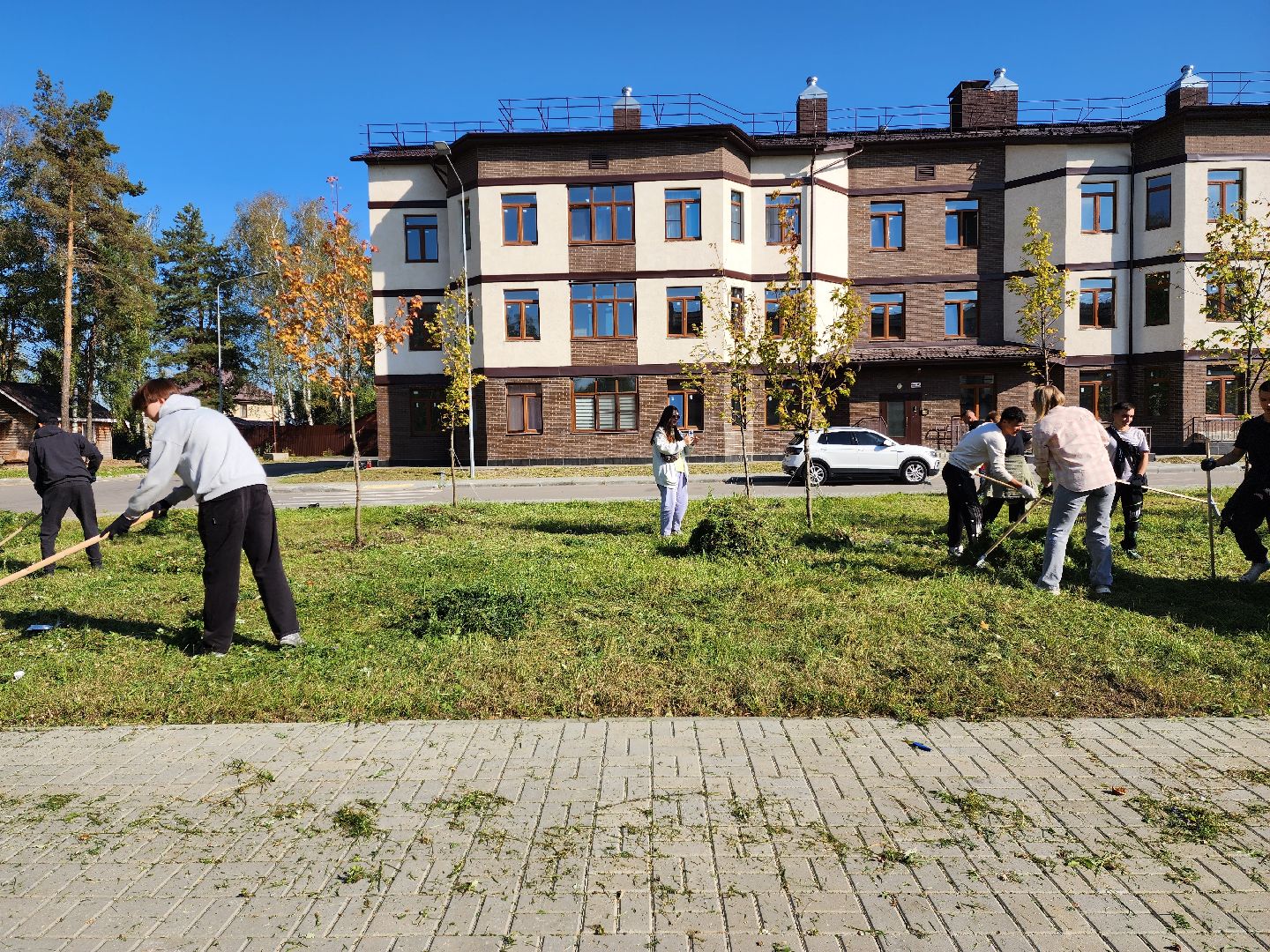 раменское, экология, молодежный субботник в жк березовая роща,