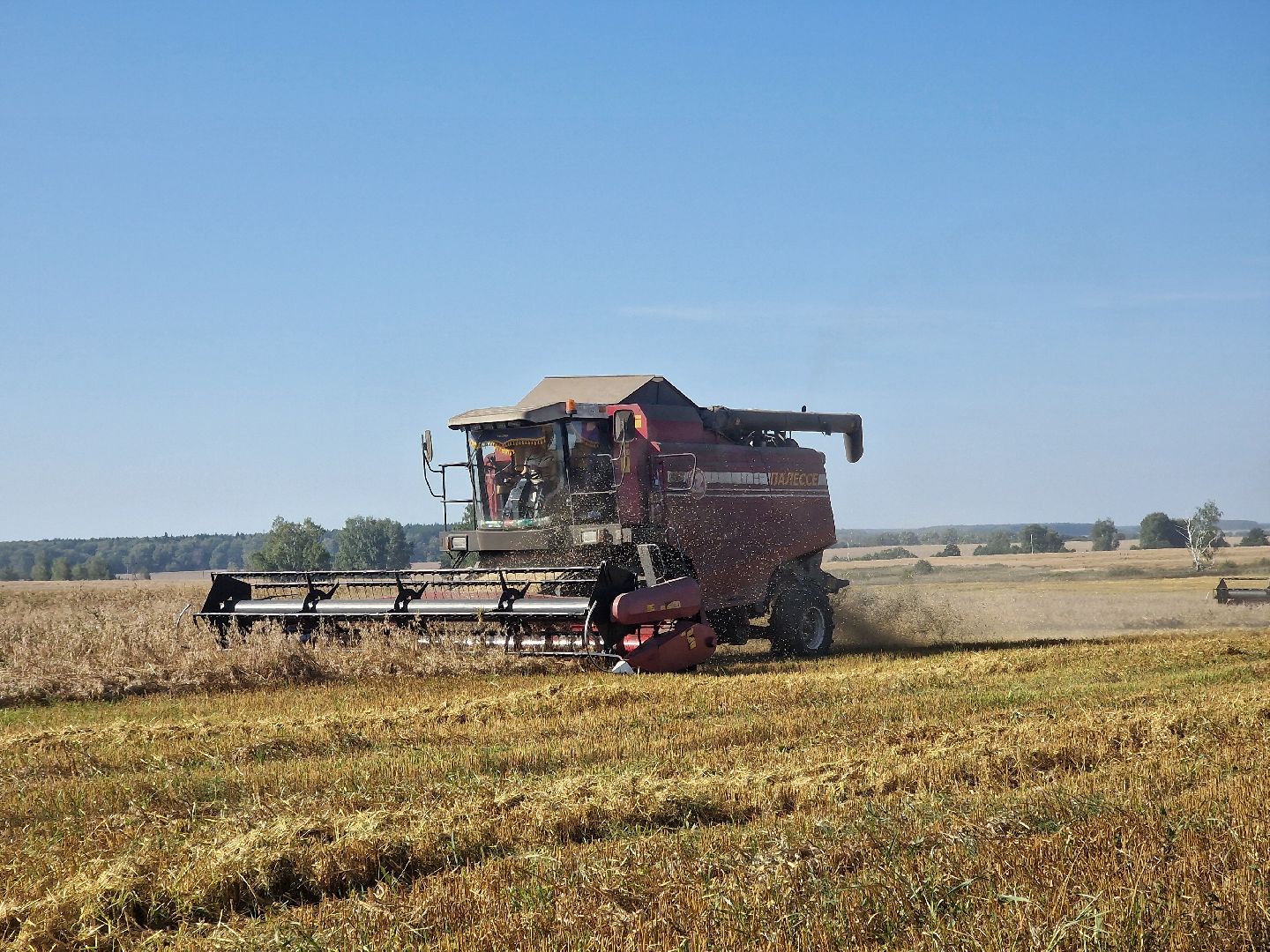 воскресенск, уборка урожая, пшеница, сельскохозяйственное предприятие,
