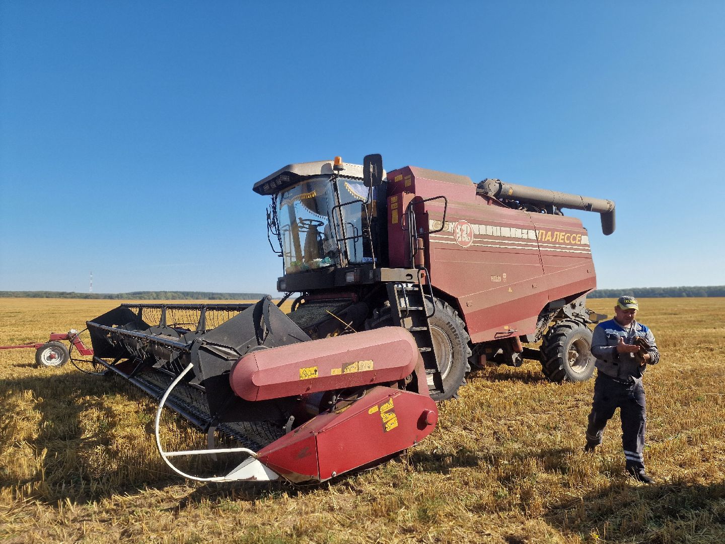 воскресенск, уборка урожая, пшеница, сельскохозяйственное предприятие,