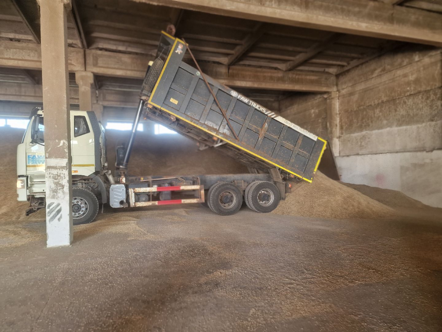 воскресенск, уборка урожая, пшеница, сельскохозяйственное предприятие,