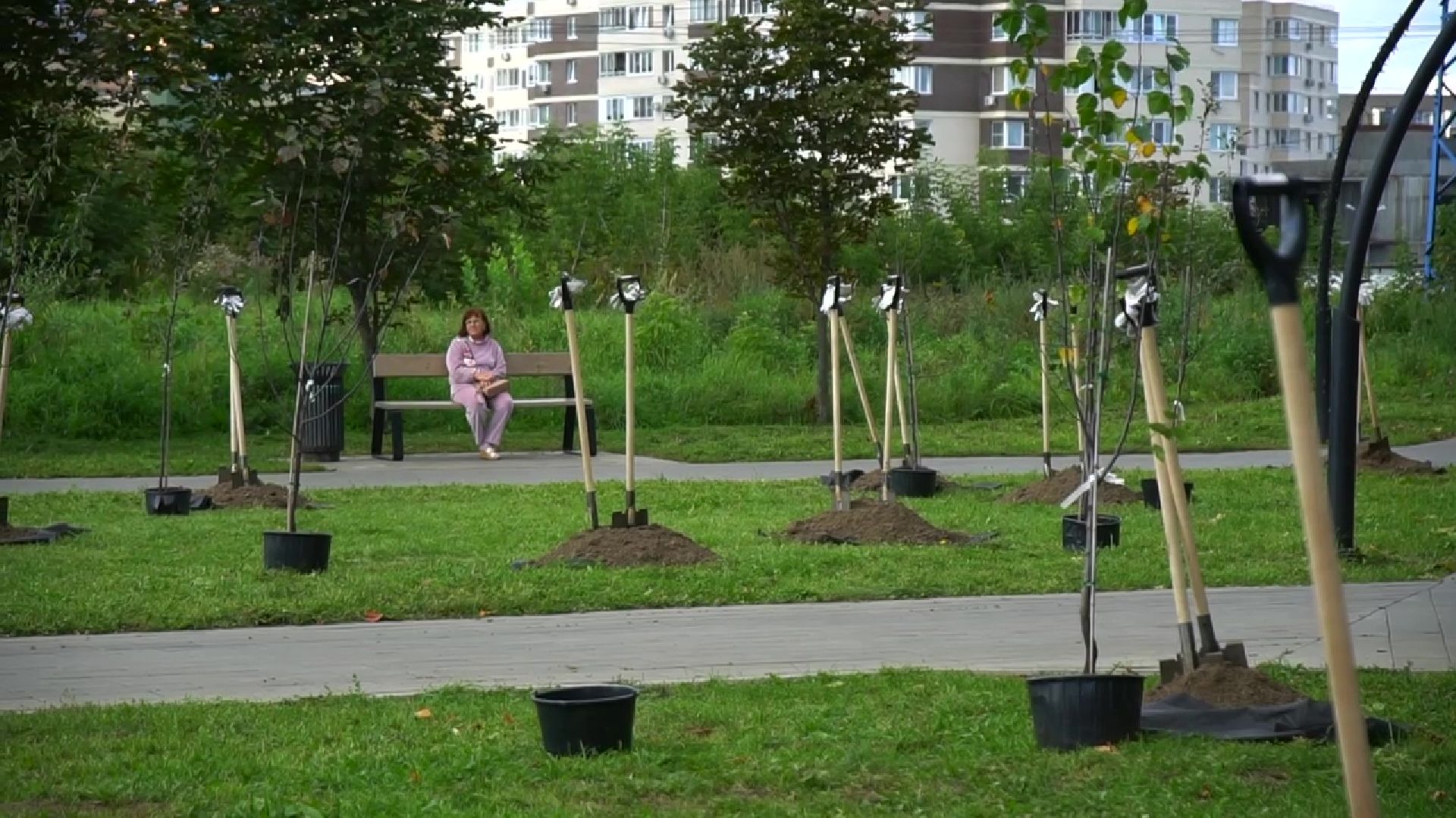 Реутов,  благоустройство, яблони, посадка деревьев,