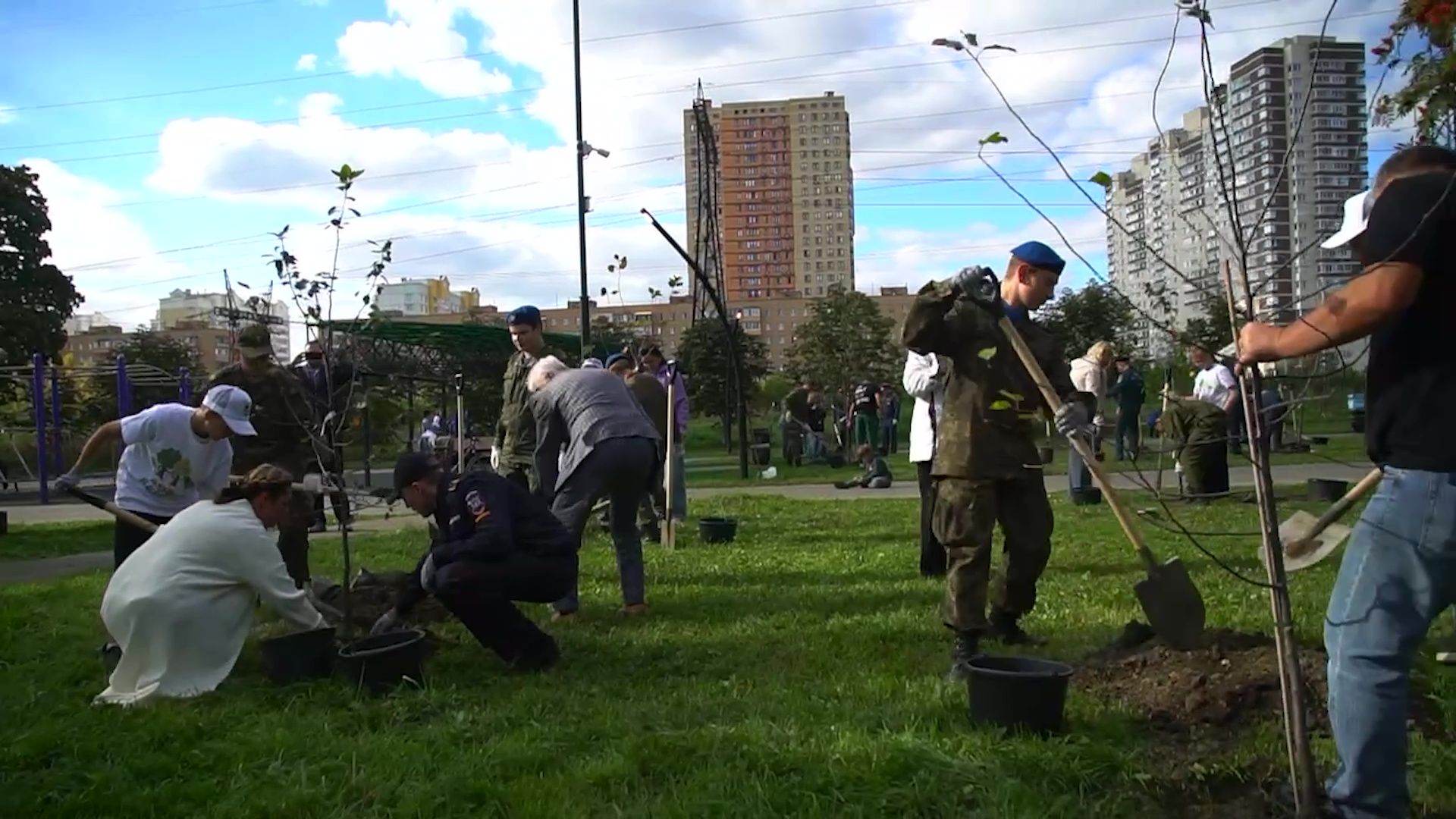 Реутов,  благоустройство, яблони, посадка деревьев,