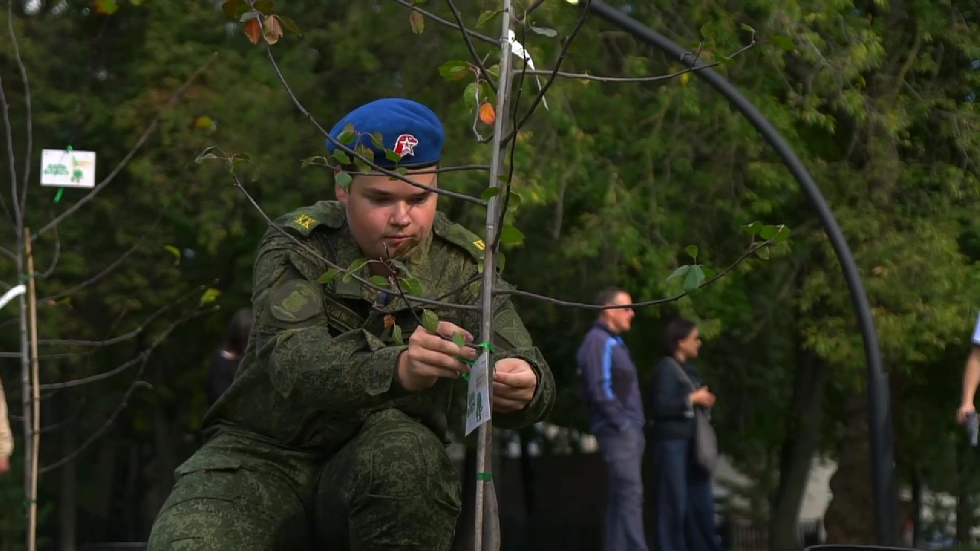 Реутов,  благоустройство, яблони, посадка деревьев,