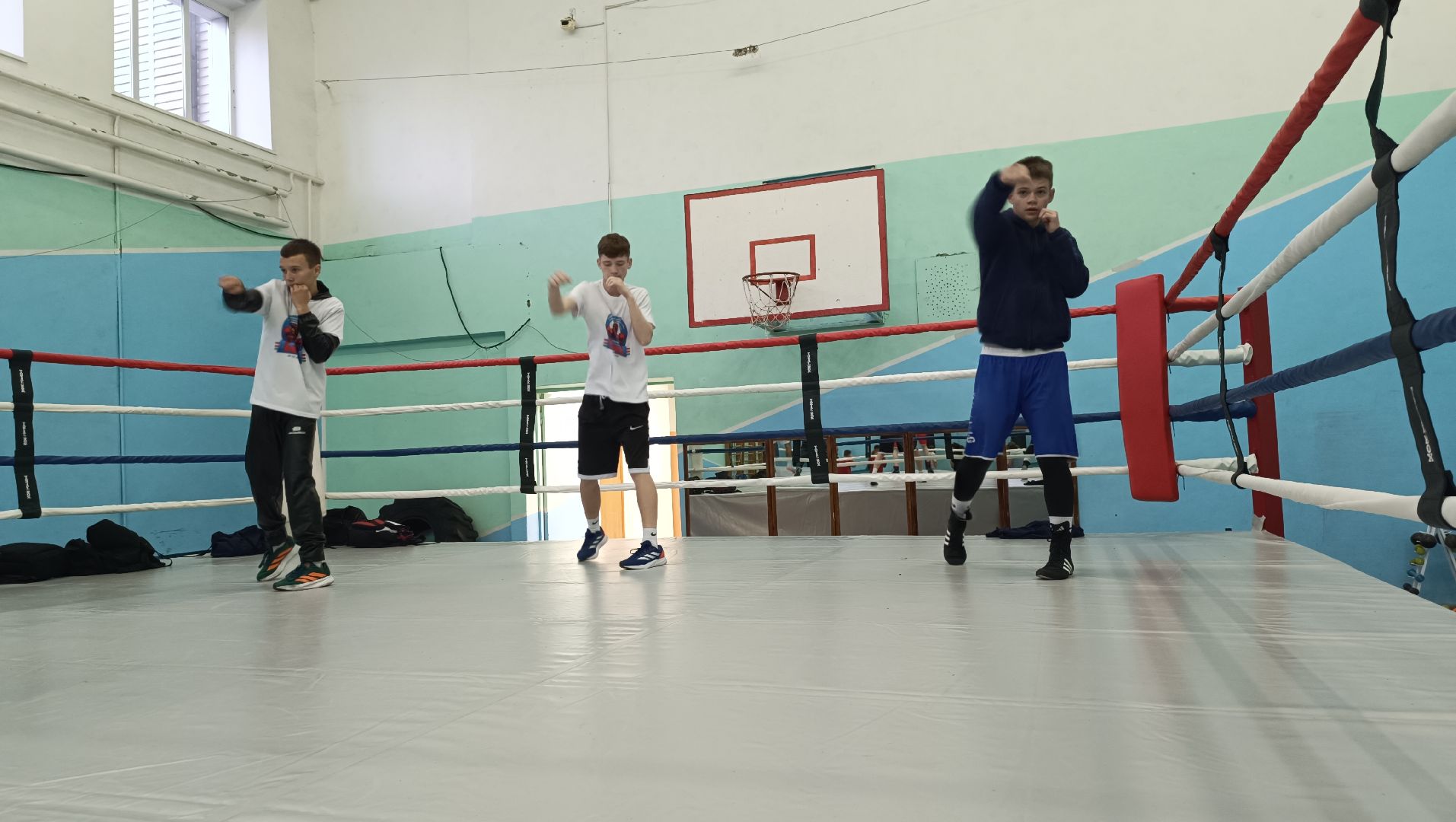 бокс, лобня, спорт,