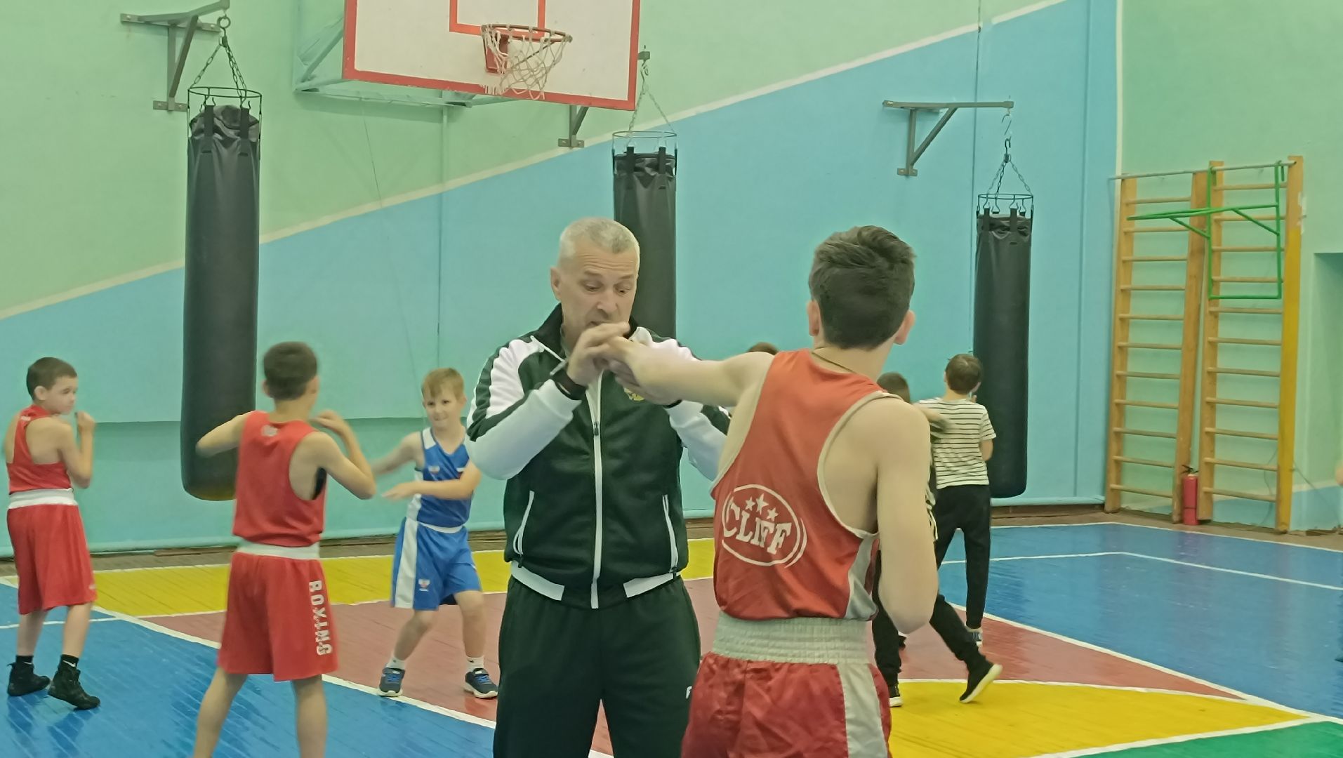 бокс, лобня, спорт,