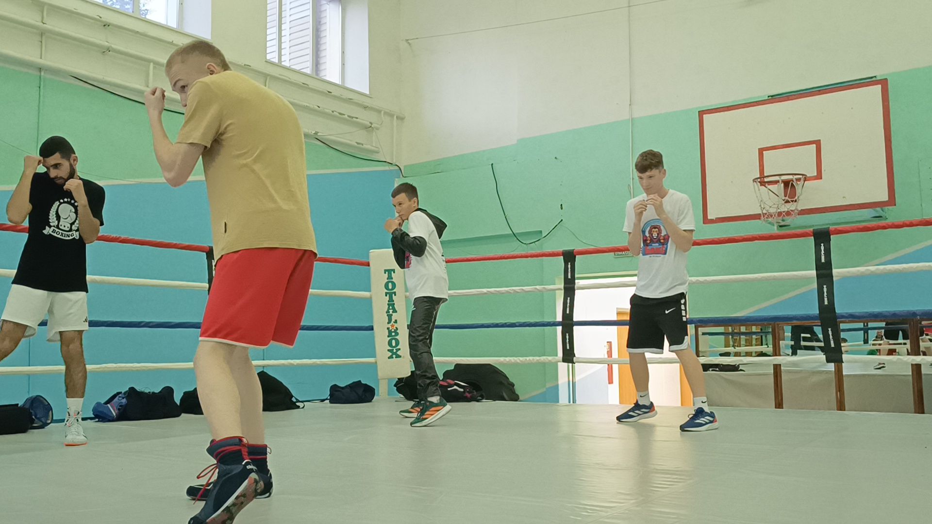 бокс, лобня, спорт,