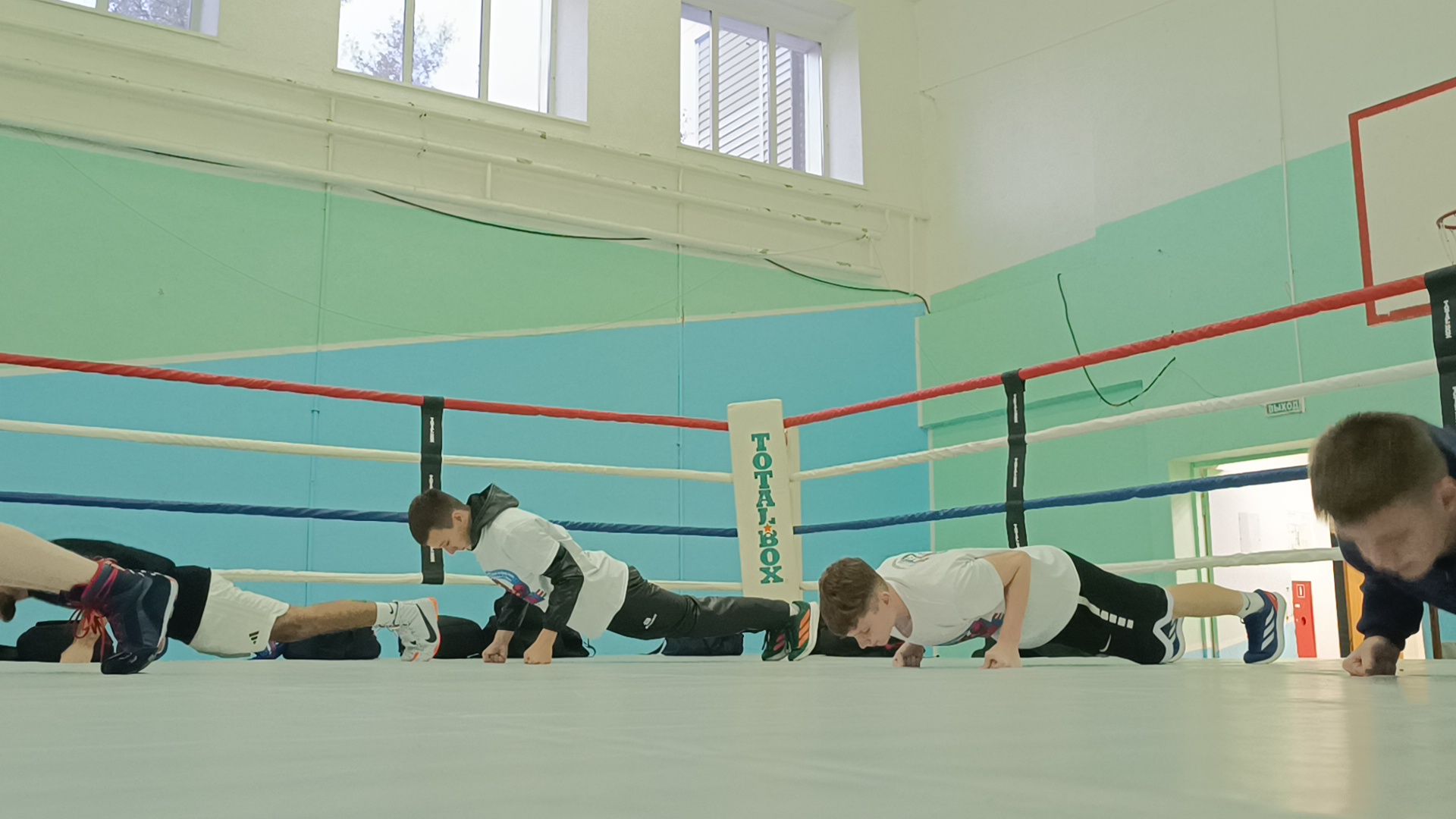 бокс, лобня, спорт,