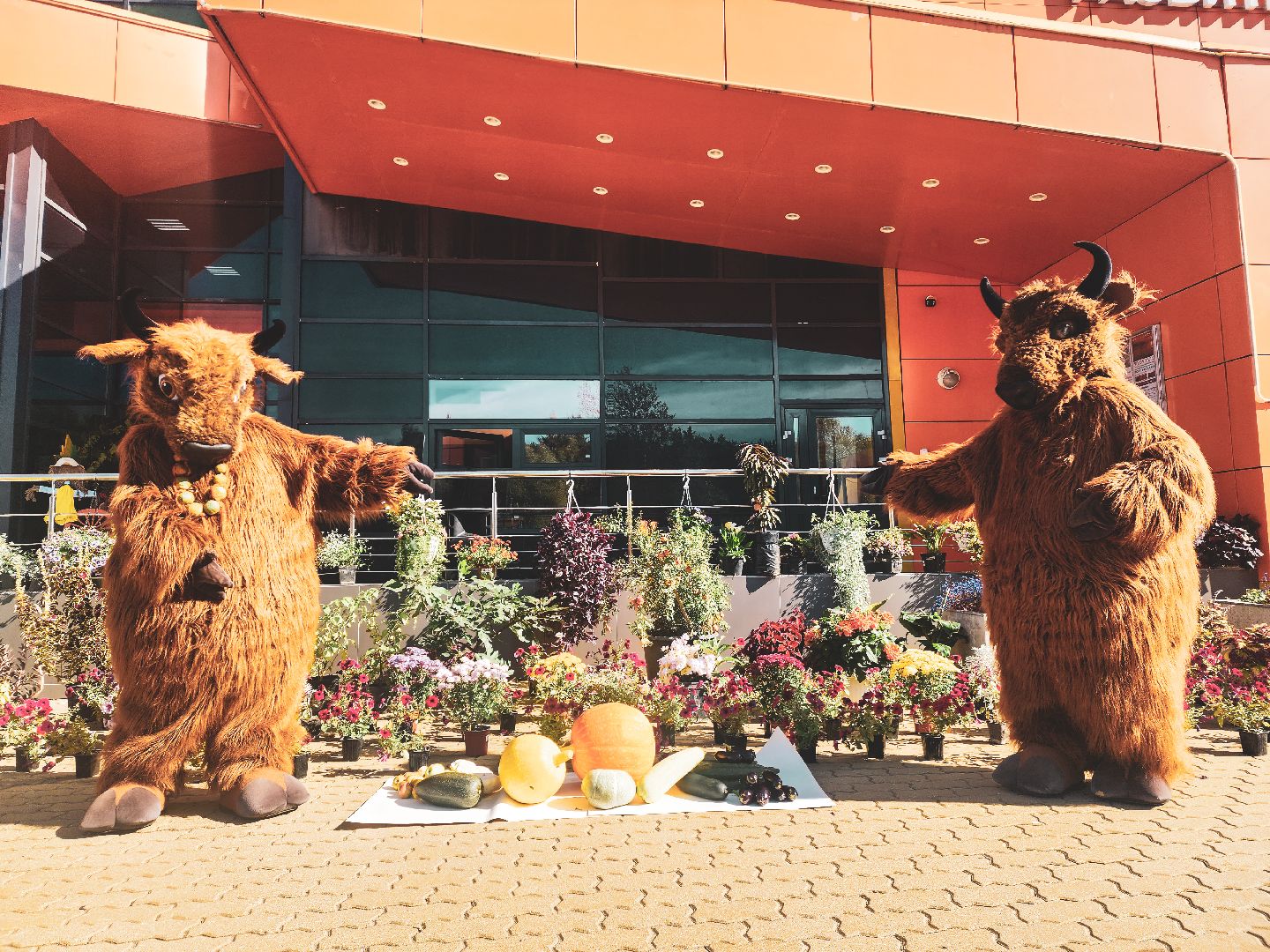 пущино, серпухов, минсельхоз, праздник урожая,