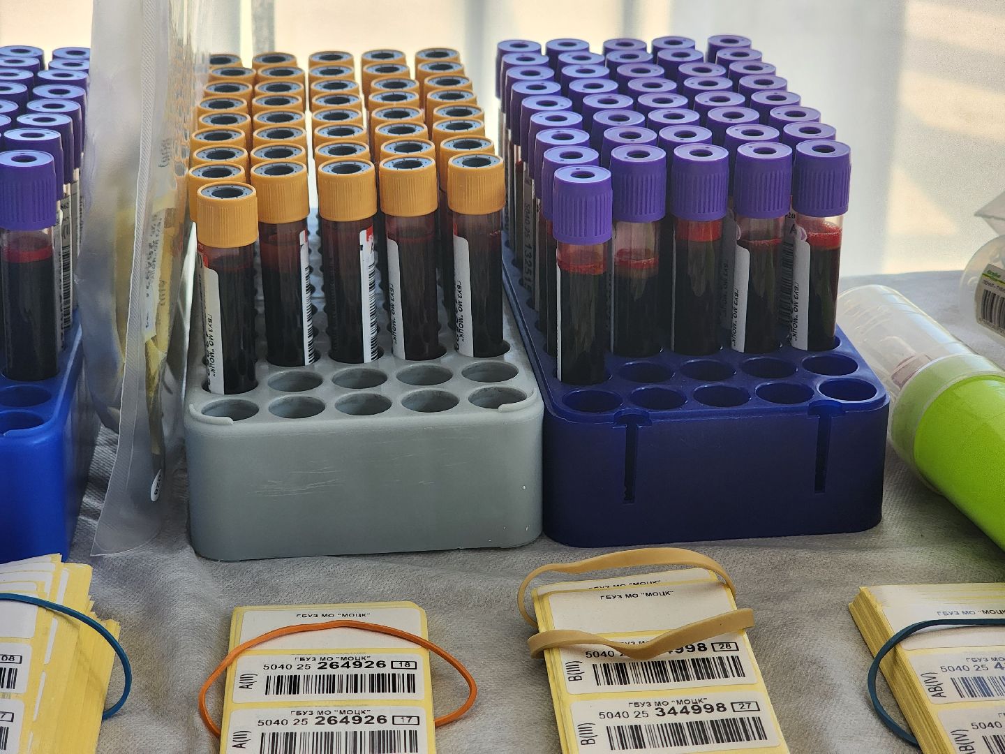 королёв, акция спасибо донор , московский областной центр крови, волонтры подмосковья, королевская больница,