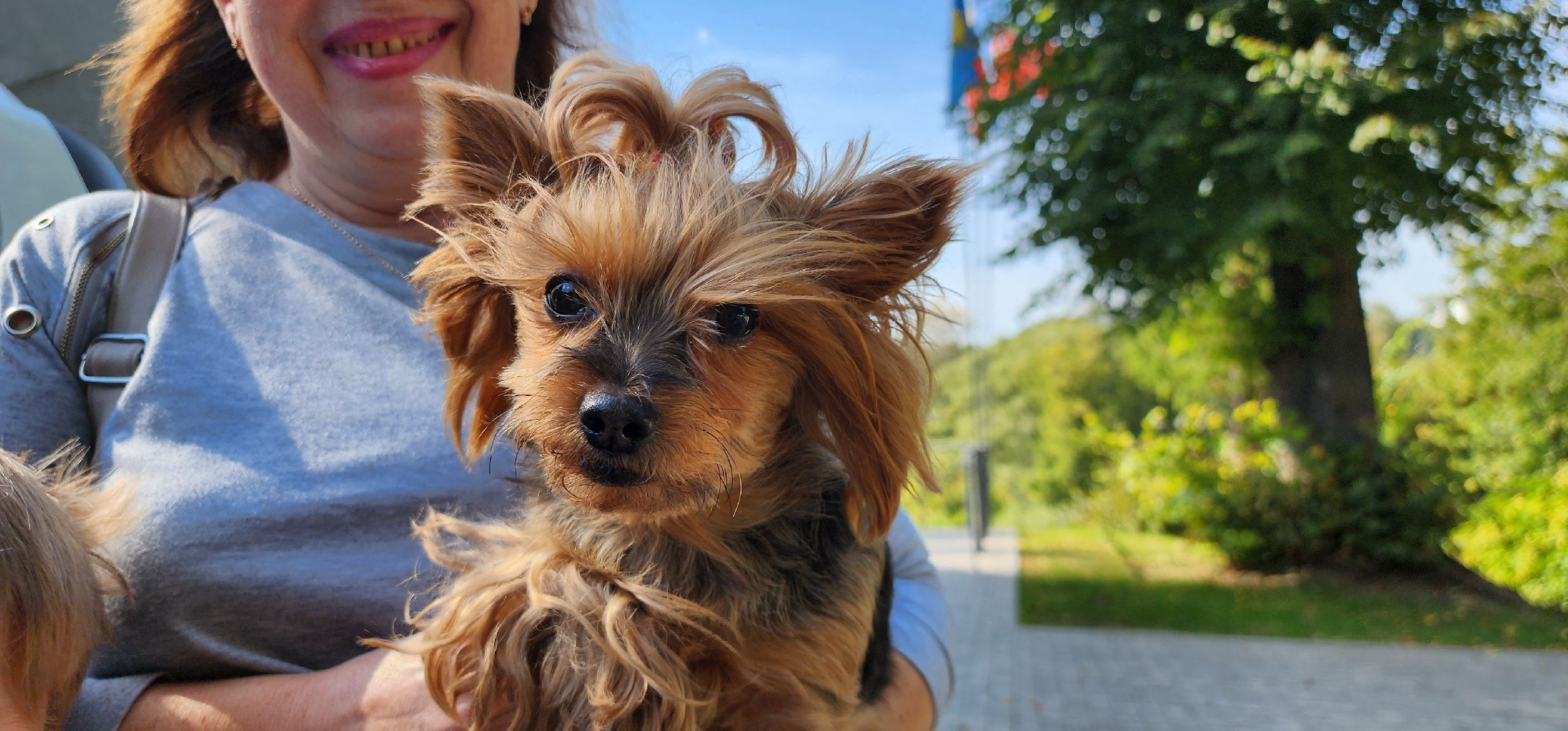 Истра, Прививки, Вакцинация, Животные,Парк,