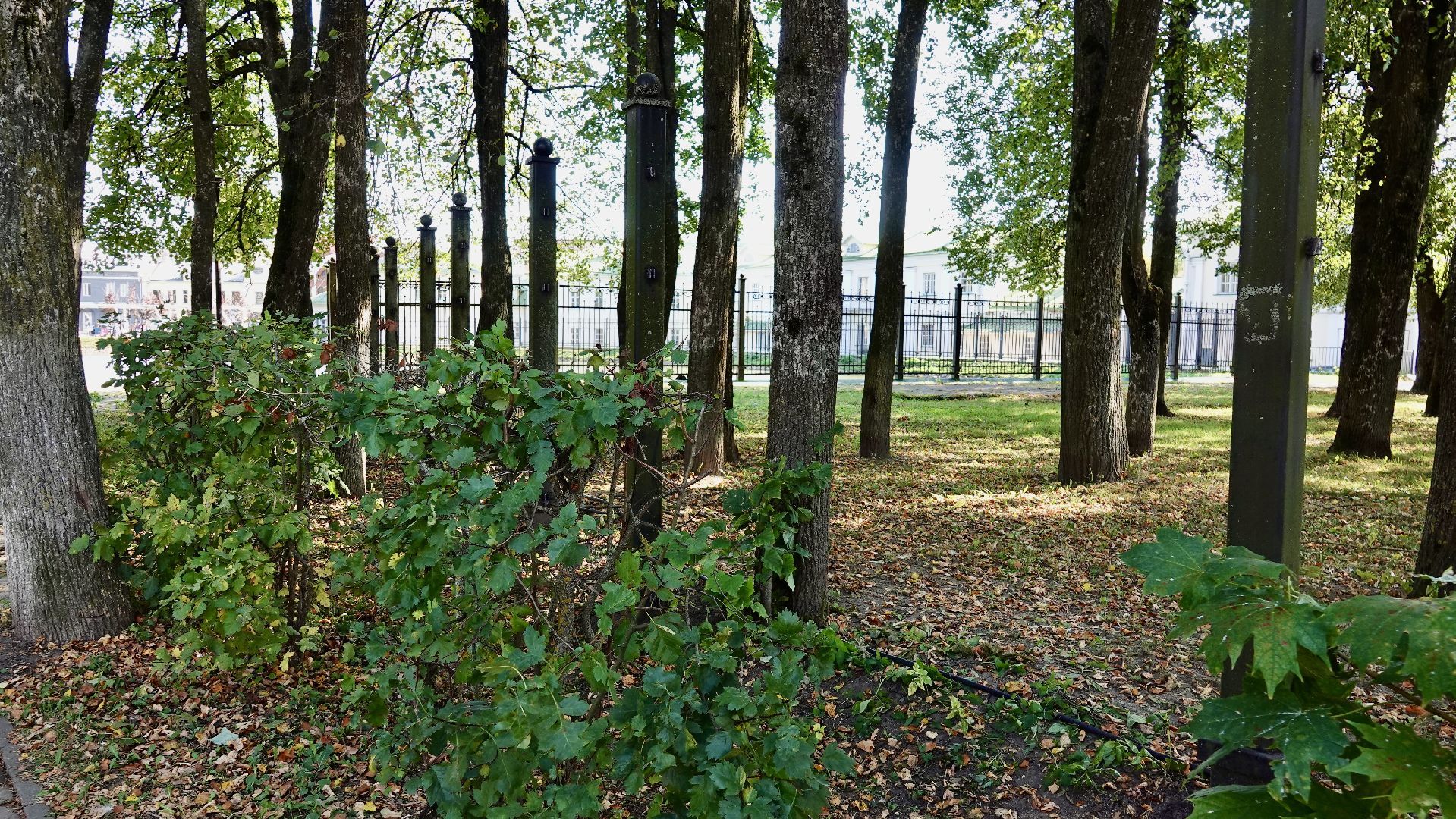 благоустройство, заборы, сергиев посад, сергиево-посадский городской округ,