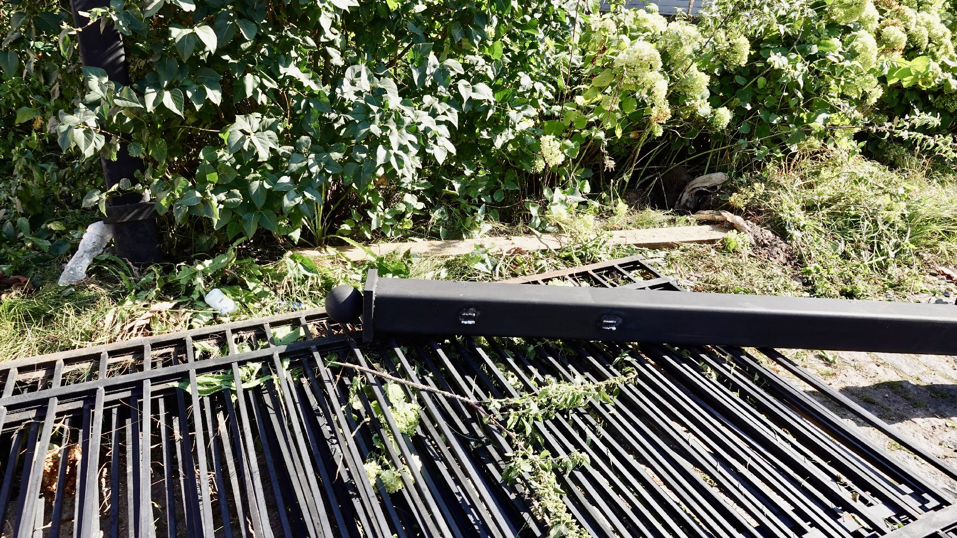 благоустройство, заборы, сергиев посад, сергиево-посадский городской округ,