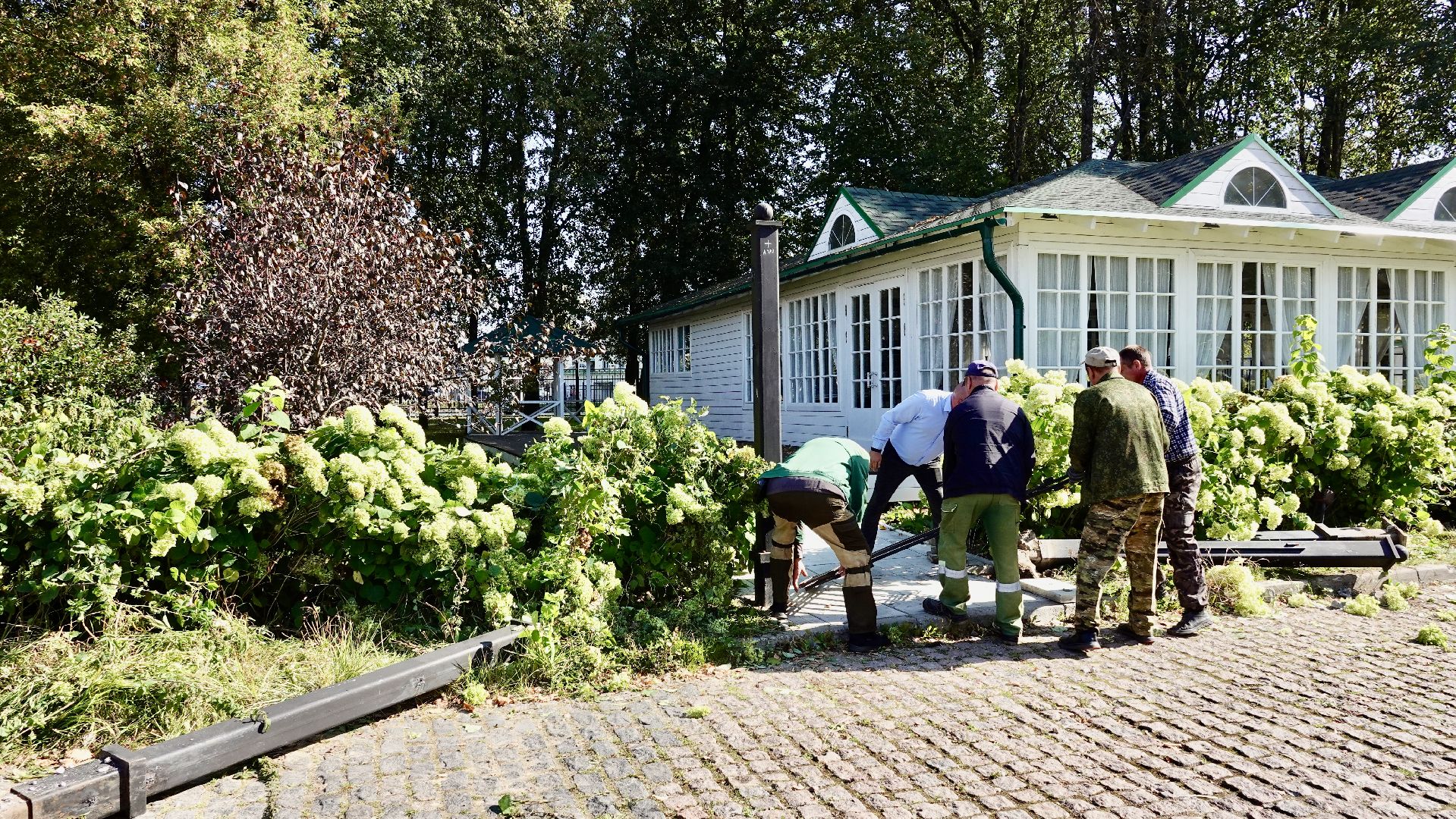 благоустройство, заборы, сергиев посад, сергиево-посадский городской округ,