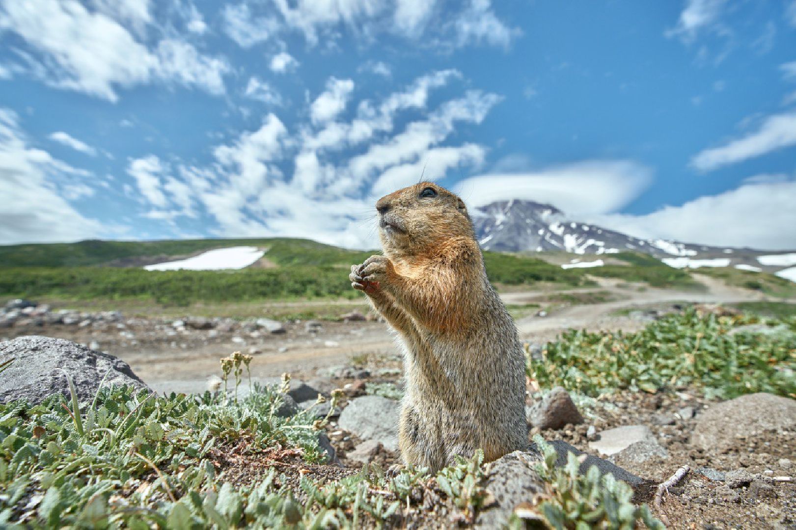 пушкинский городской округ, пушкино, Победитель фотоконкурса, Российское географическое общество, фотограф,