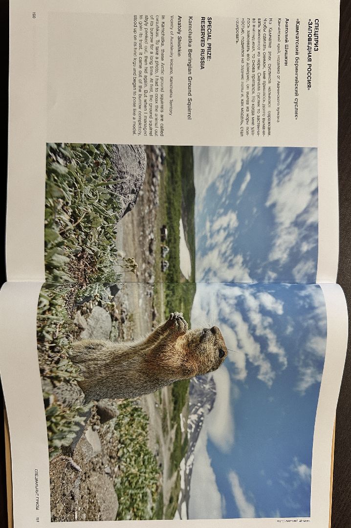 пушкинский городской округ, пушкино, Победитель фотоконкурса, Российское географическое общество, фотограф,