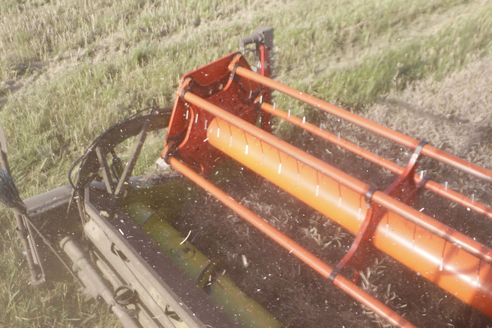 зарайск, сельское хозяйство, рапс,