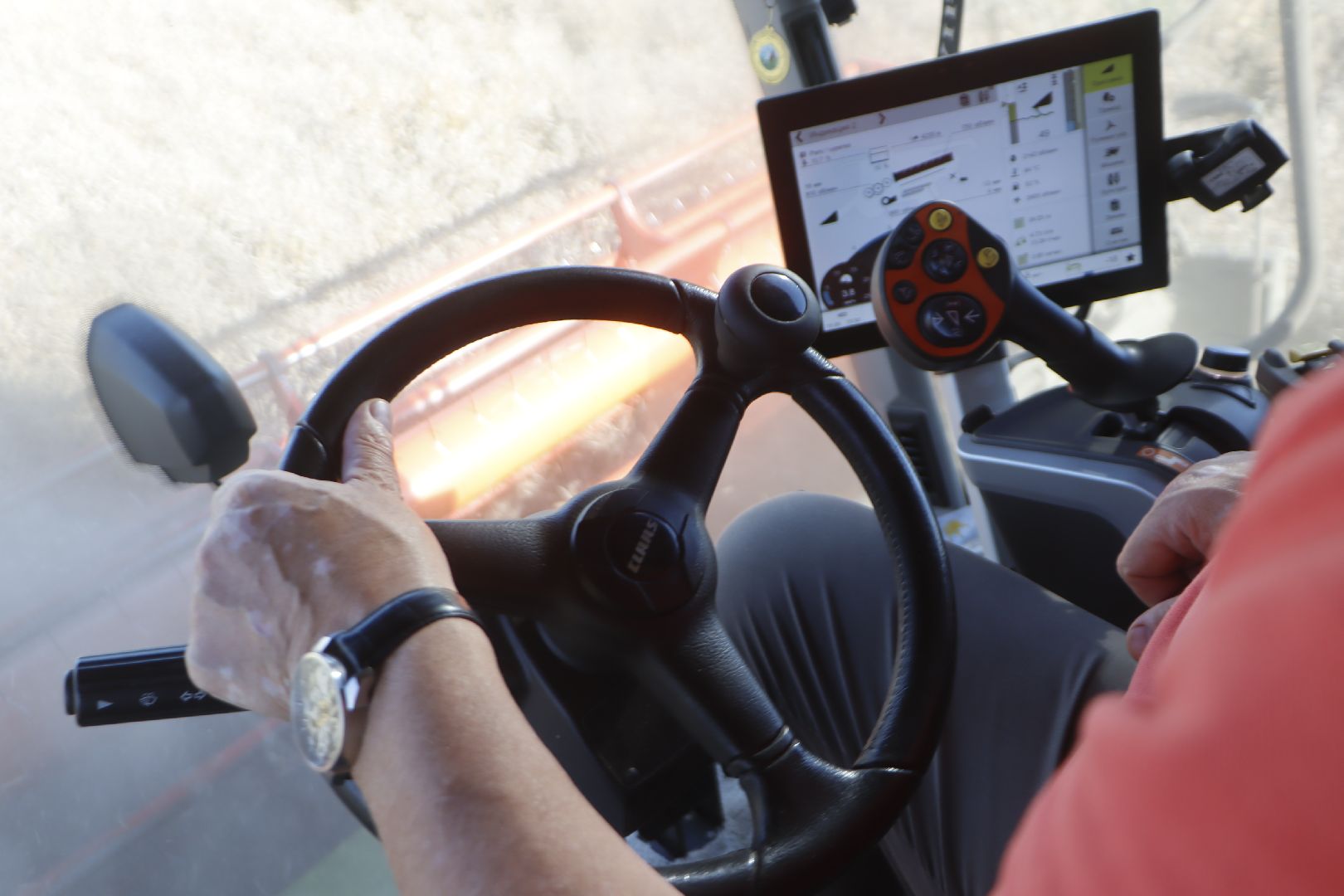 зарайск, сельское хозяйство, рапс,