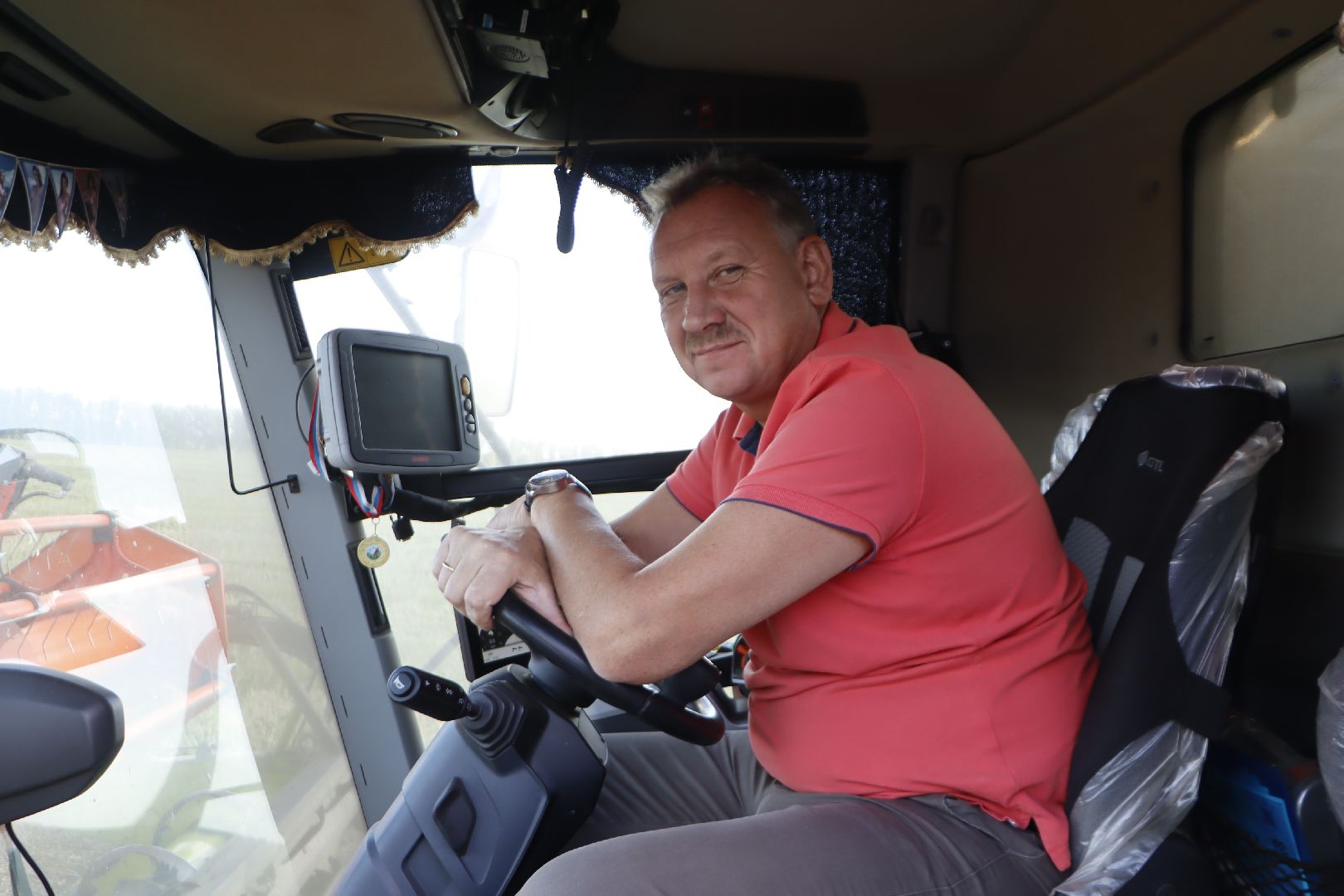 зарайск, сельское хозяйство, рапс,