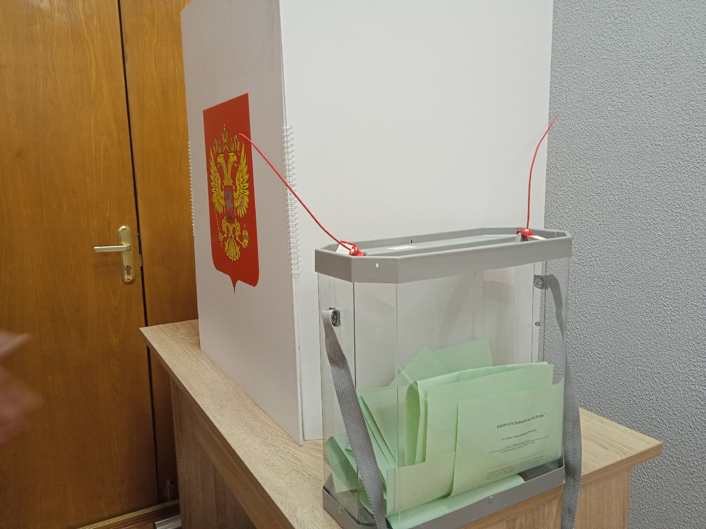 городской округ восход, день молодого избирателя, выборы,