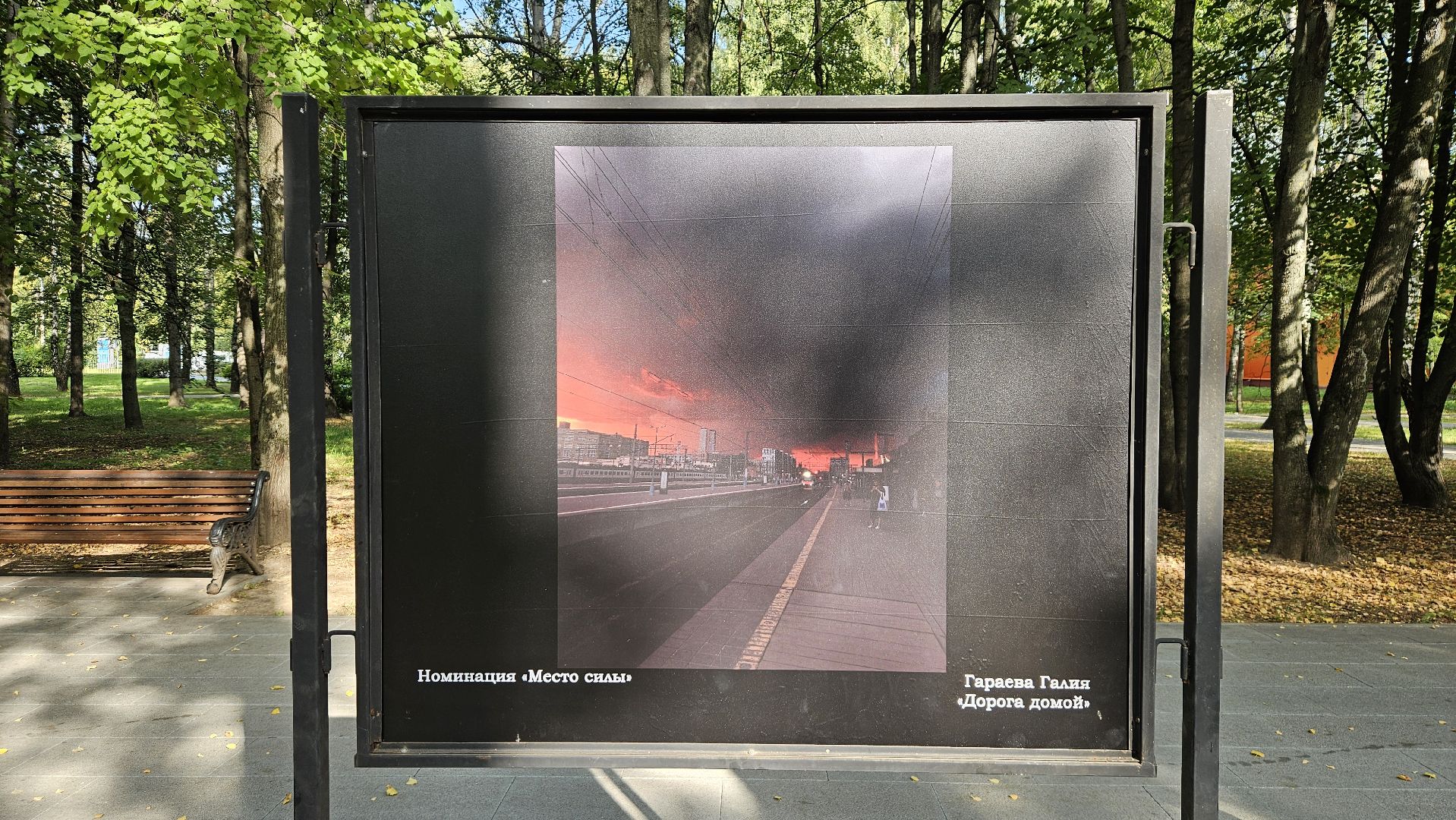 долгопрудный, фотоконкурс, центральный парк победы, фотовыставка,