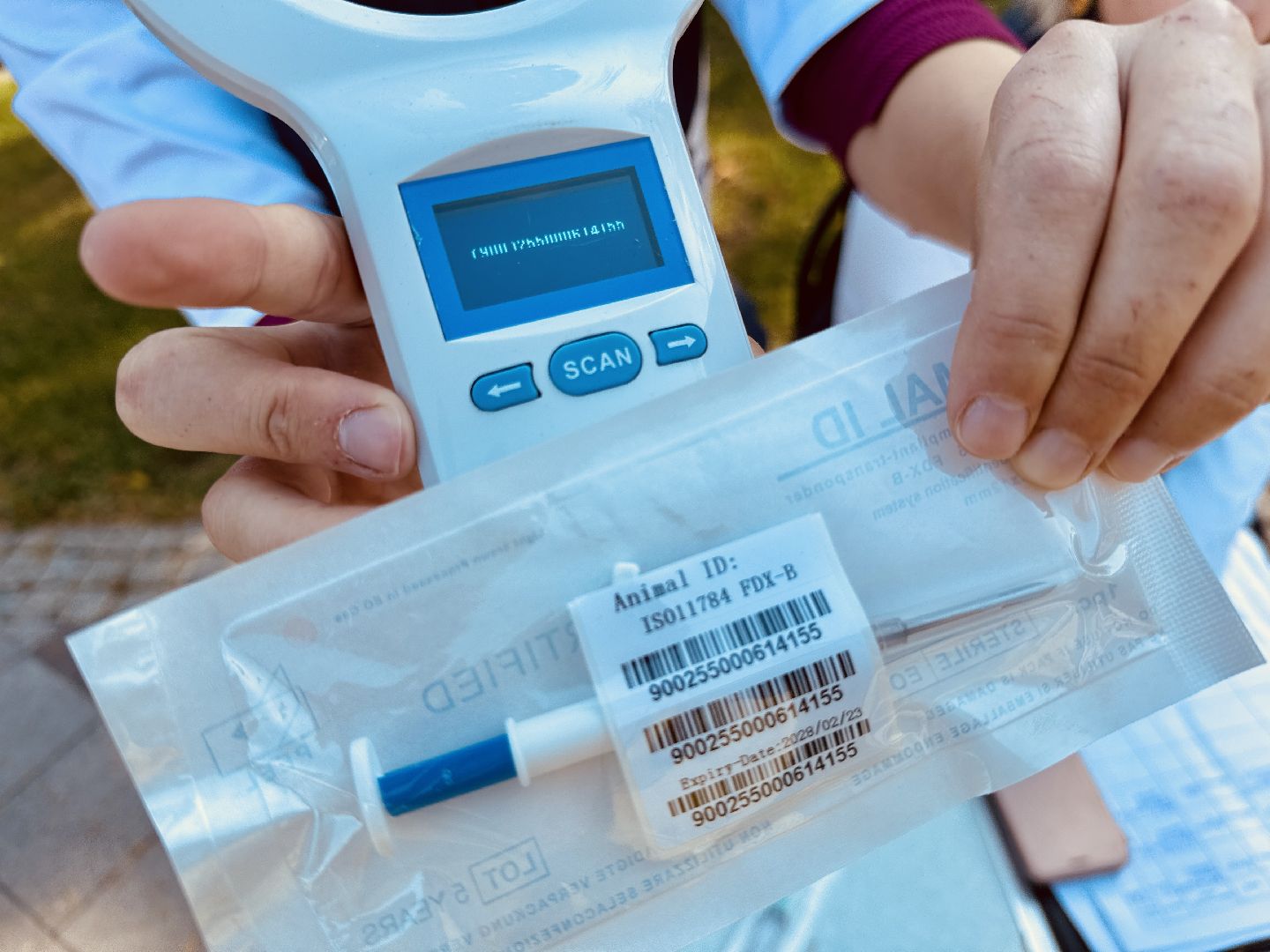 раменское, ветеринар, вакцинация животных, бешенство, чипирование, регистрация животных,