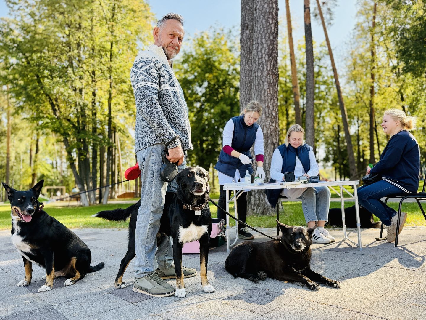 раменское, ветеринар, вакцинация животных, бешенство, чипирование, регистрация животных,