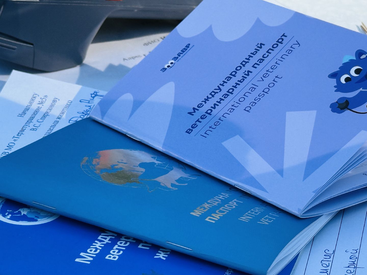 раменское, ветеринар, вакцинация животных, бешенство, чипирование, регистрация животных,