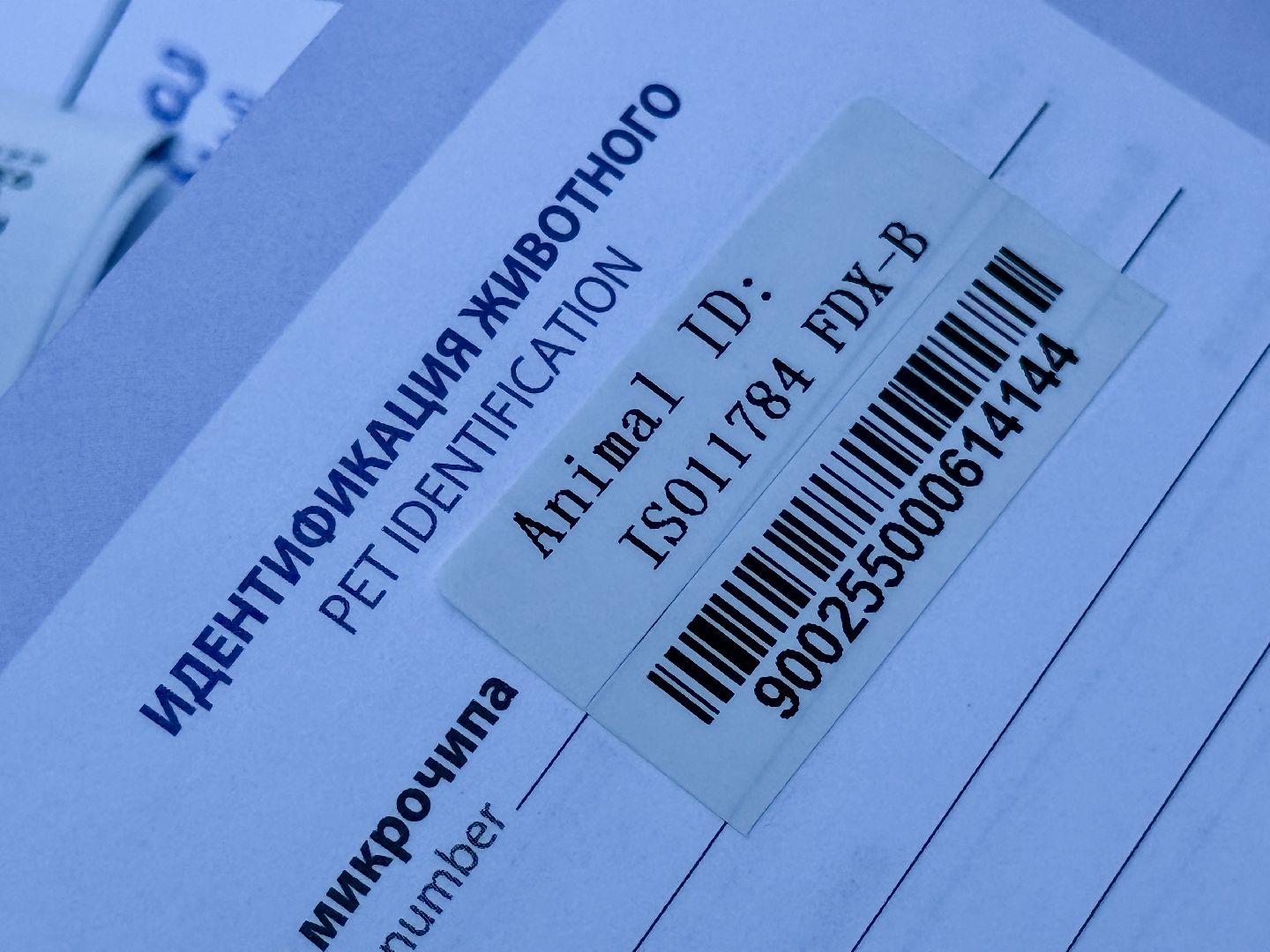 раменское, ветеринар, вакцинация животных, бешенство, чипирование, регистрация животных,