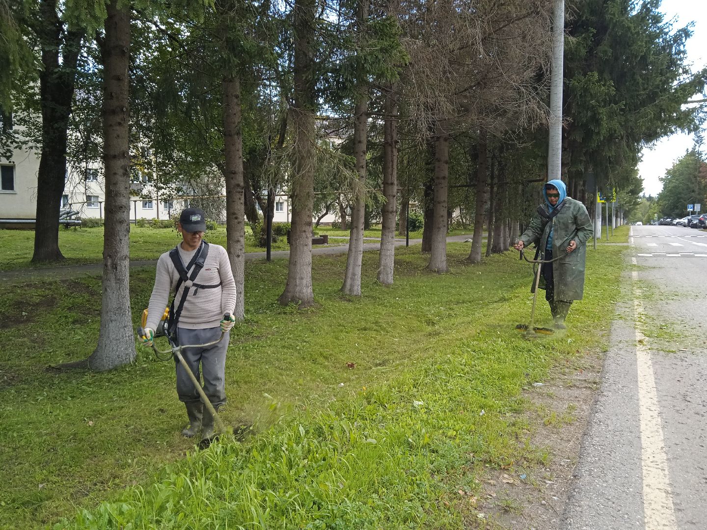 городской округ восход, благоустройство, жкх, покос травы,