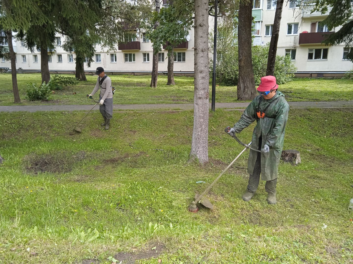 городской округ восход, благоустройство, жкх, покос травы,
